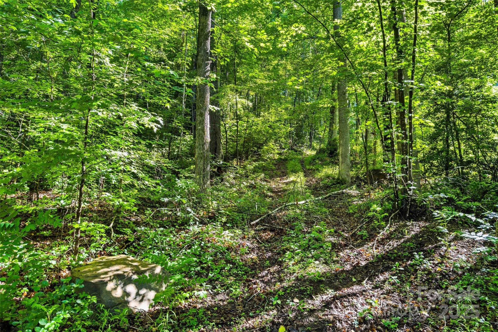 Lot #76 Hunnicut Spur Road - Photo 8