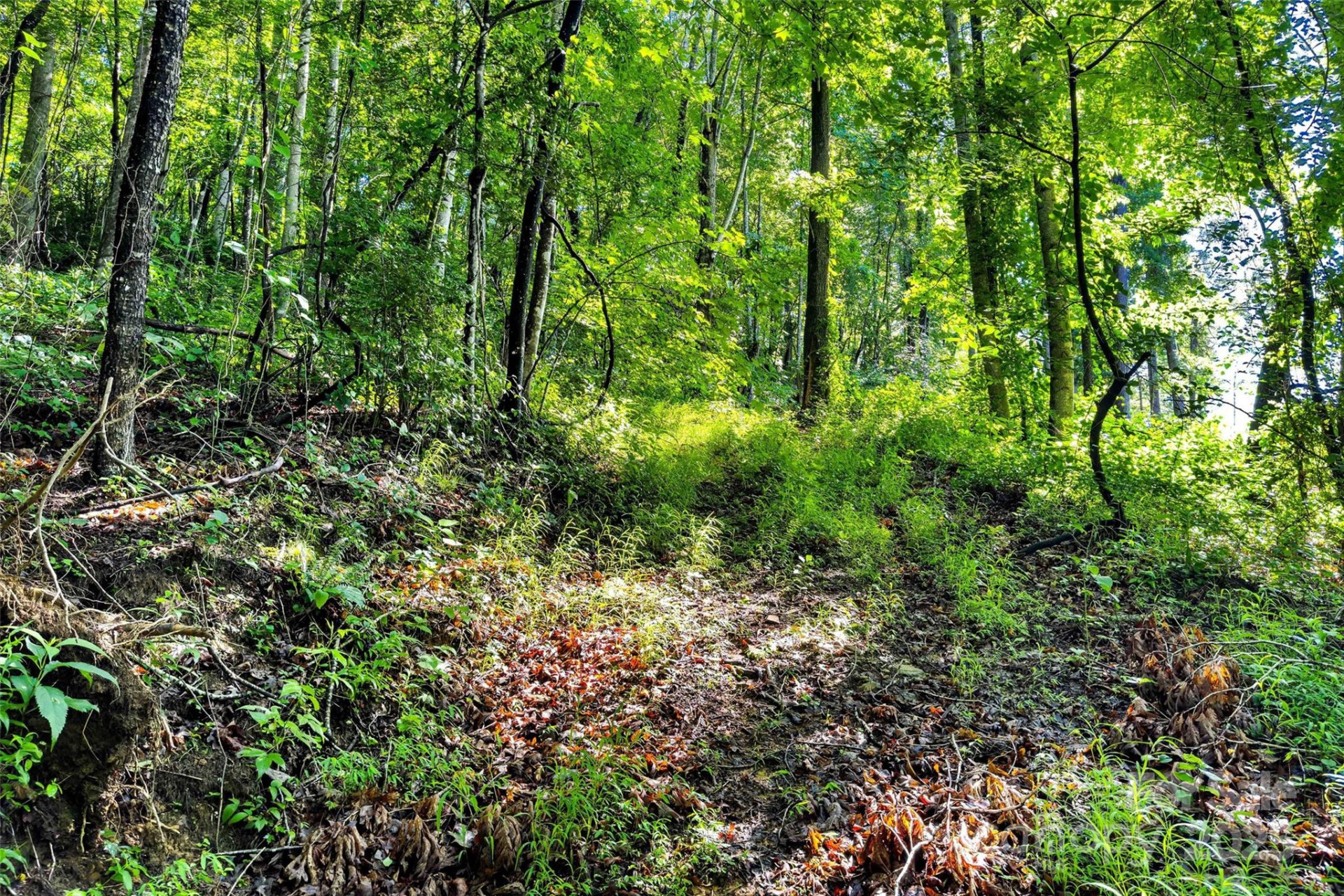 Lot #76 Hunnicut Spur Road - Photo 10