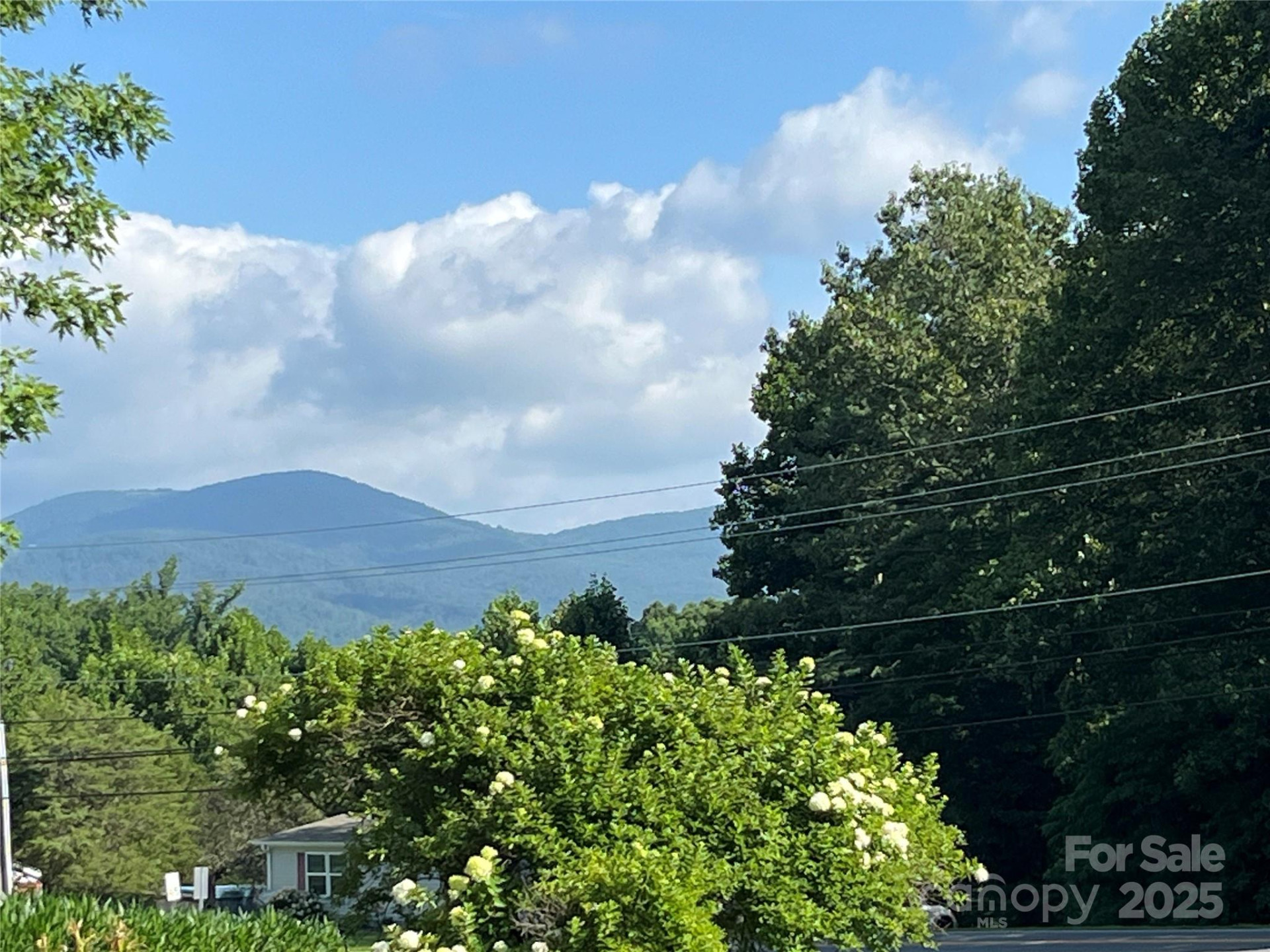40 Country View Lane - Photo 3