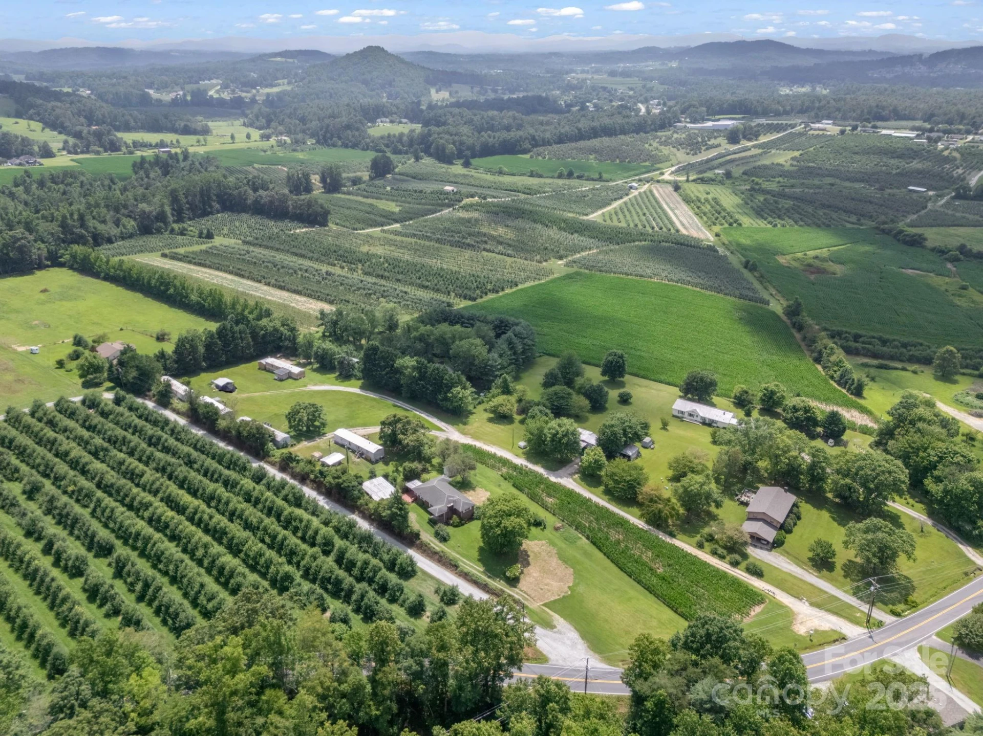 40 Country View Lane - Photo 41