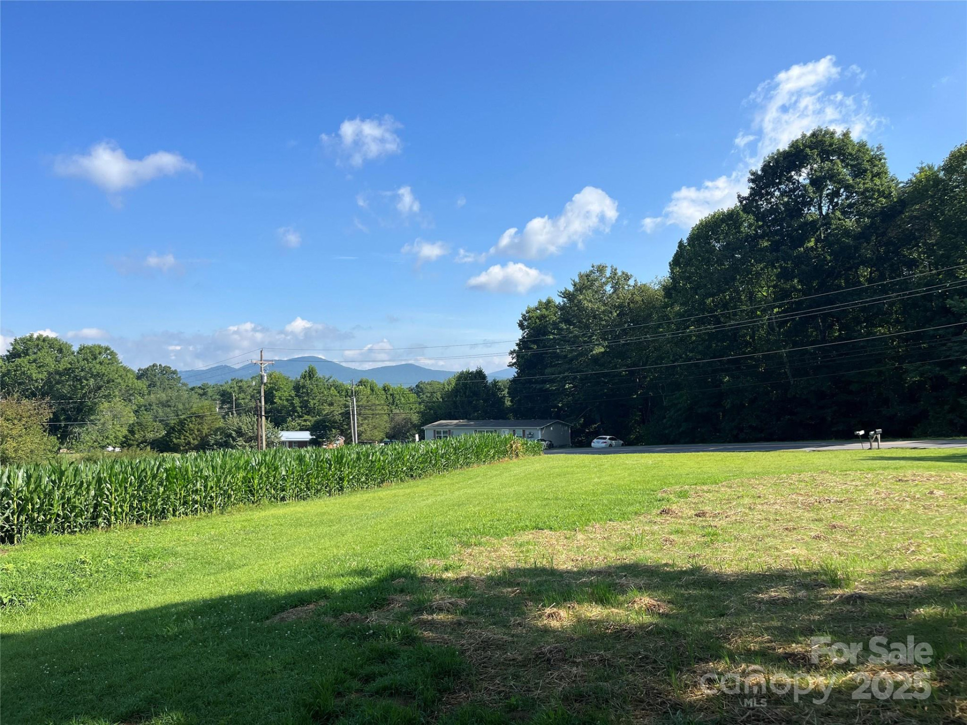 40 Country View Lane - Photo 6