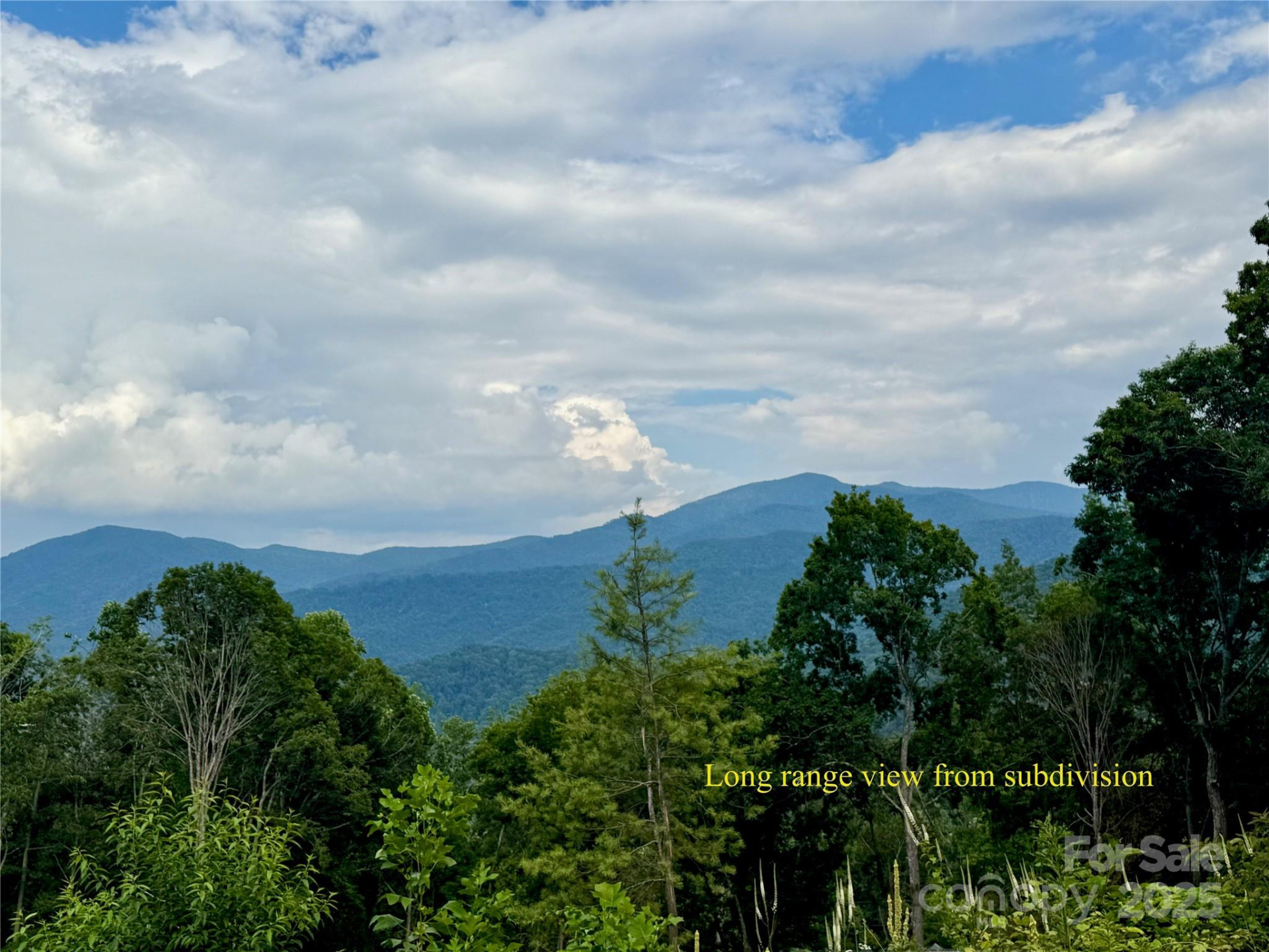 TBD Wildwood Acres Drive #16,17,23 - Photo 2