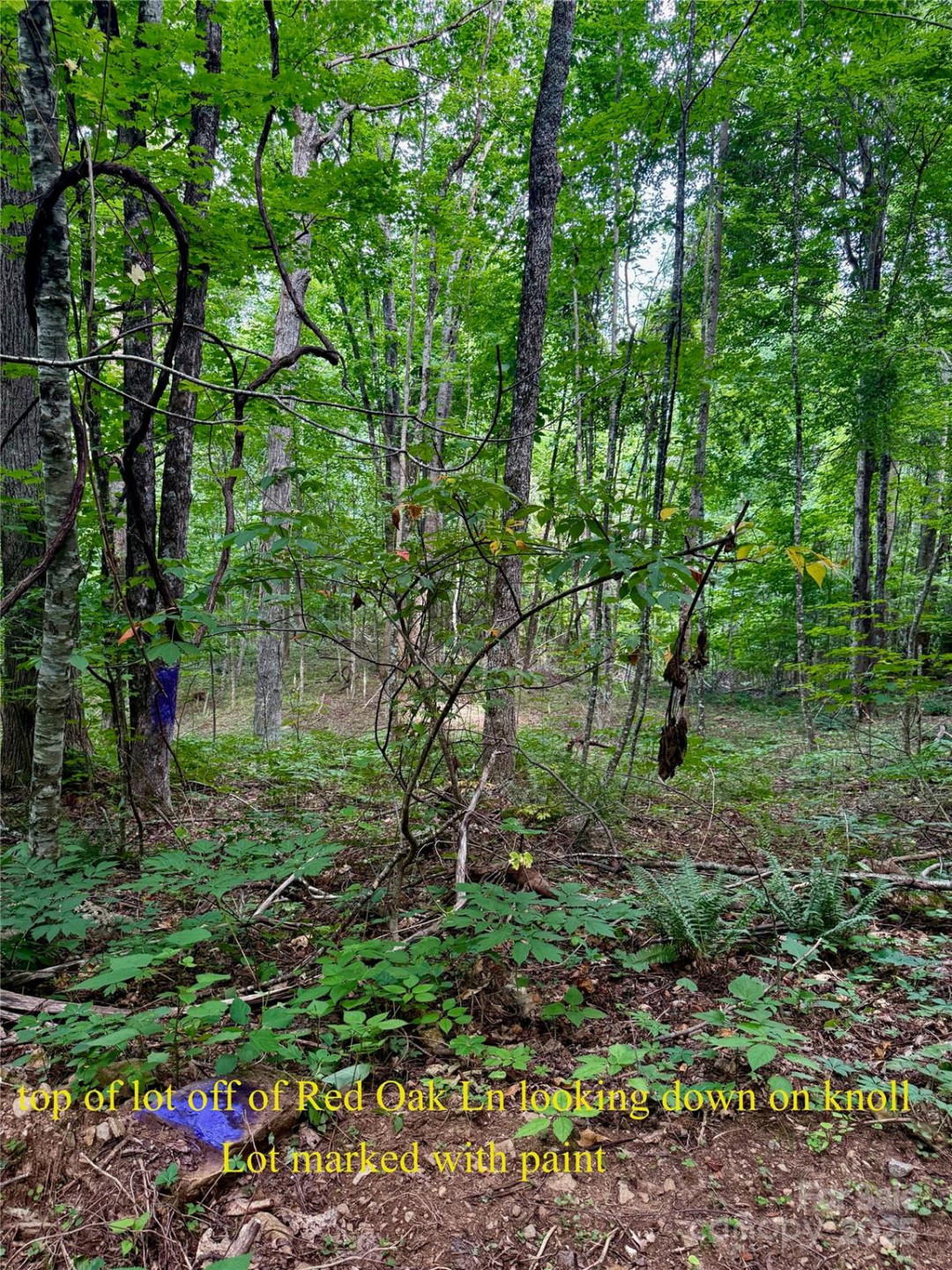 TBD Wildwood Acres Drive #16,17,23 - Photo 4