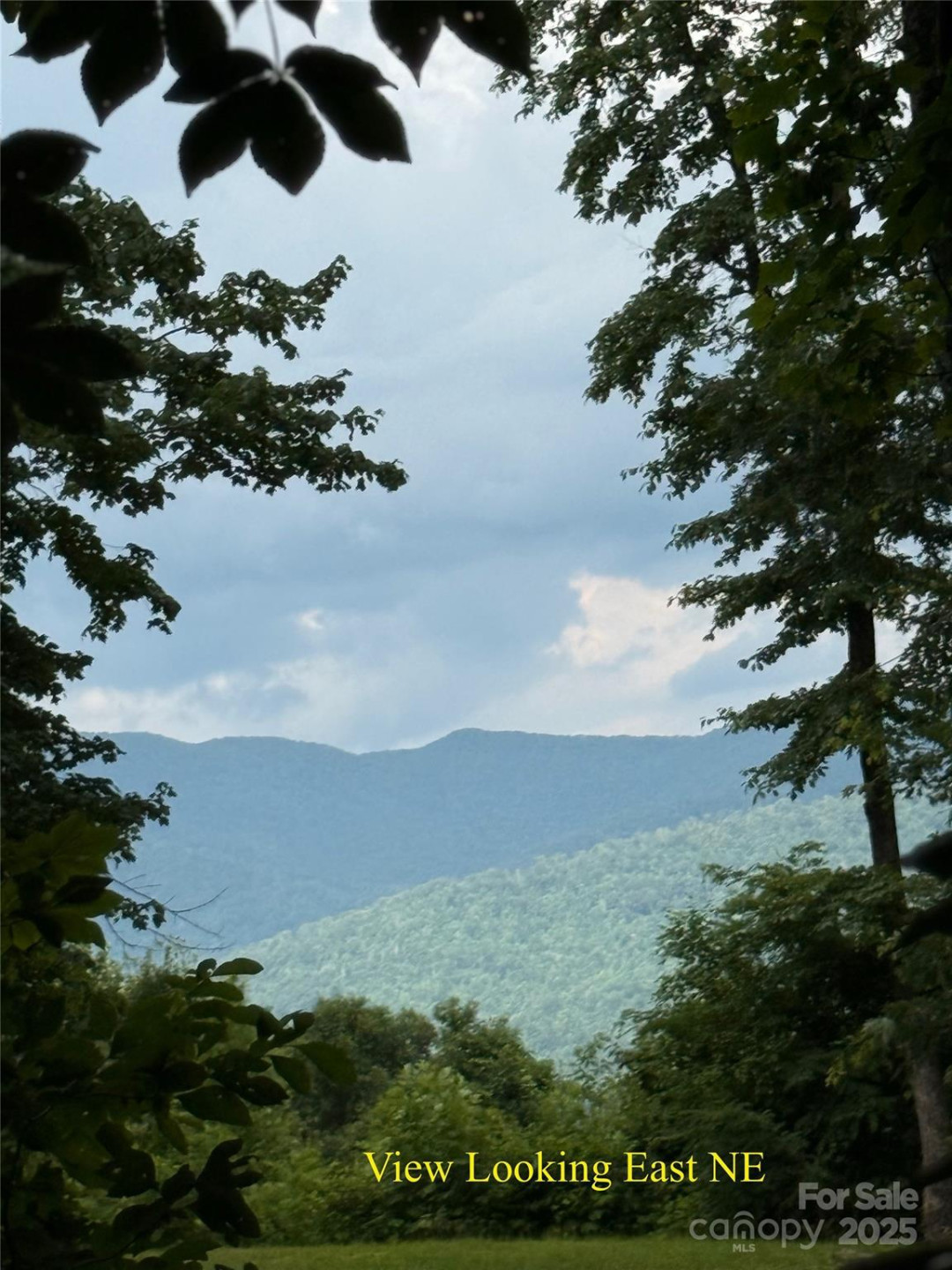 TBD Wildwood Acres Drive #16,17,23 - Photo 5