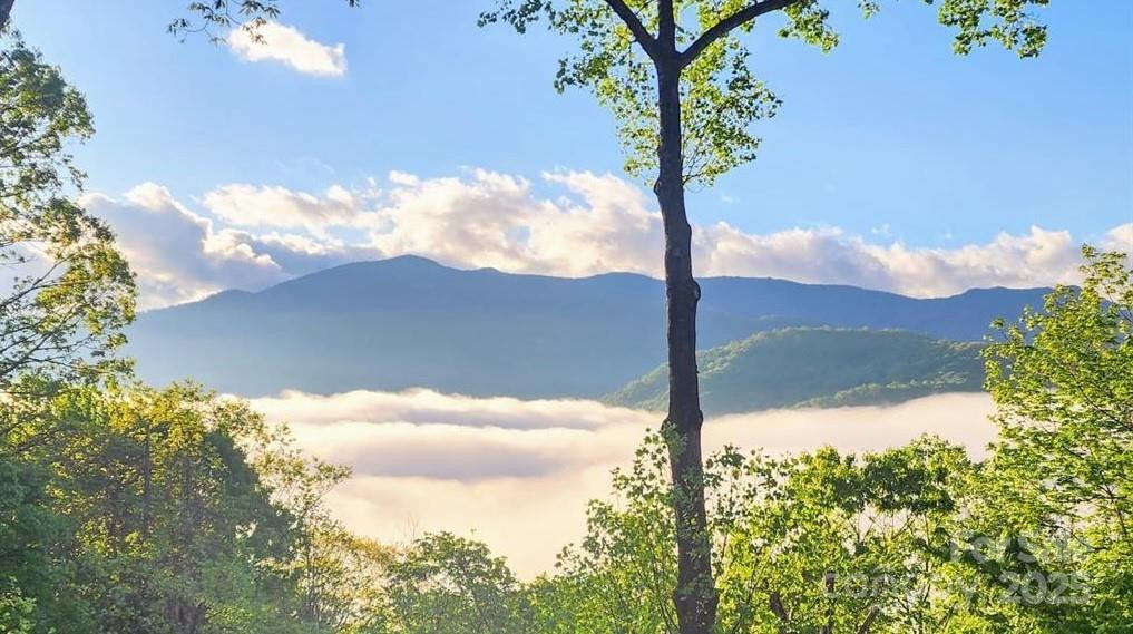 TBD Wildwood Acres Drive #16,17,23 - Photo 8