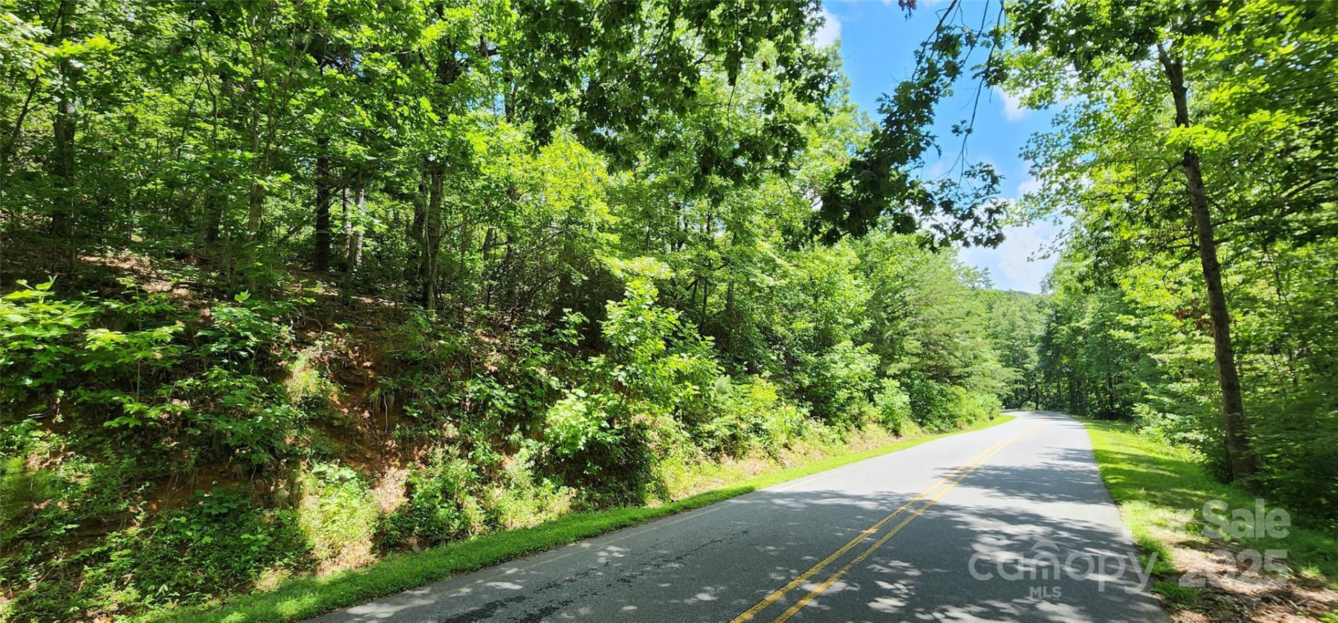 5 LOTS White Oak Mountain Road - Photo 14