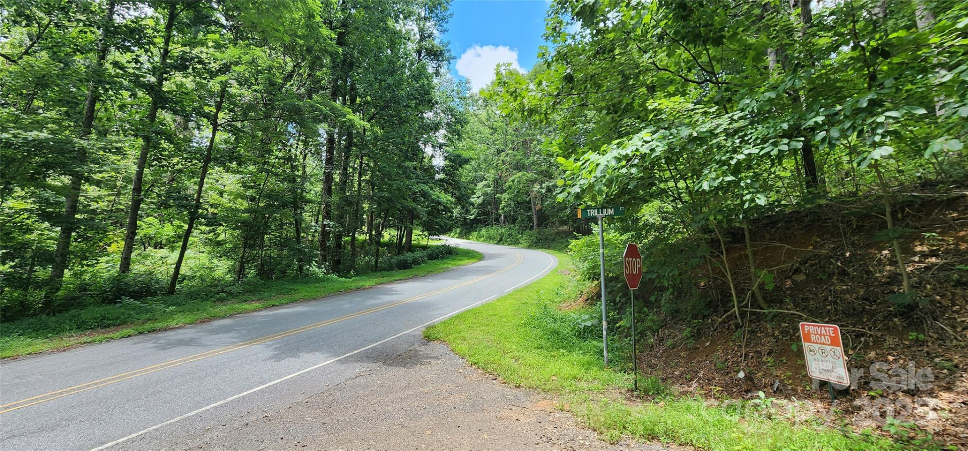 5 LOTS White Oak Mountain Road - Photo 15