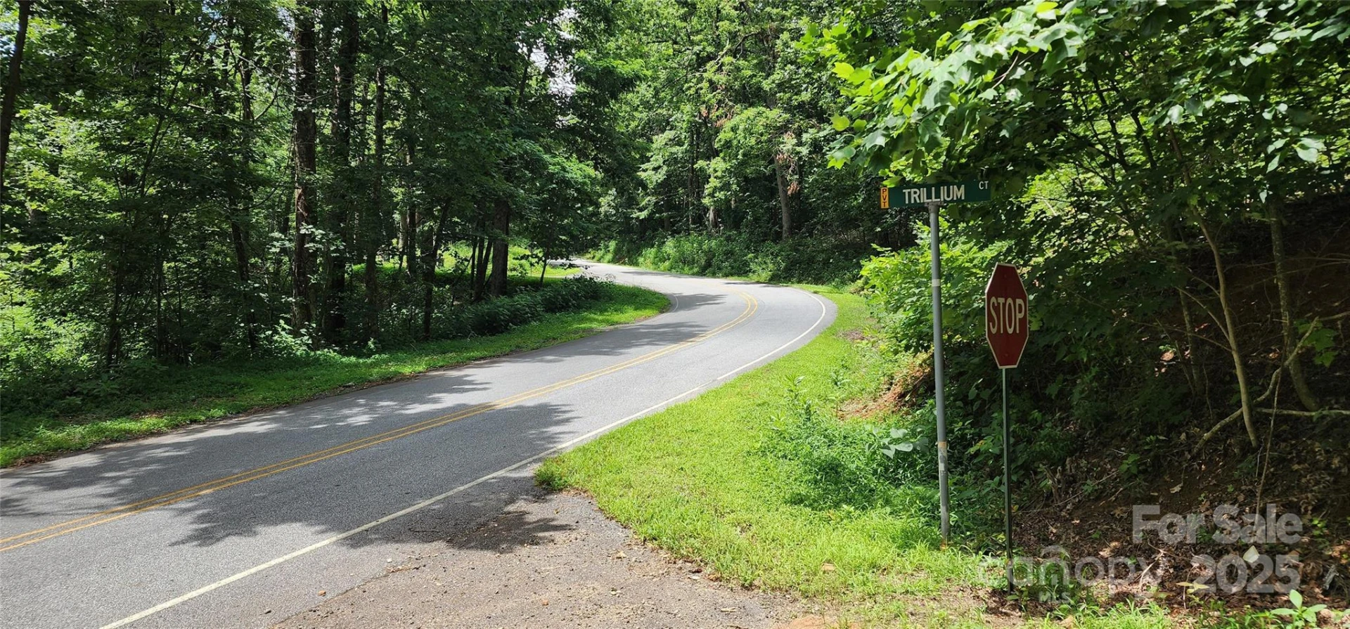 5 LOTS White Oak Mountain Road - Photo 18