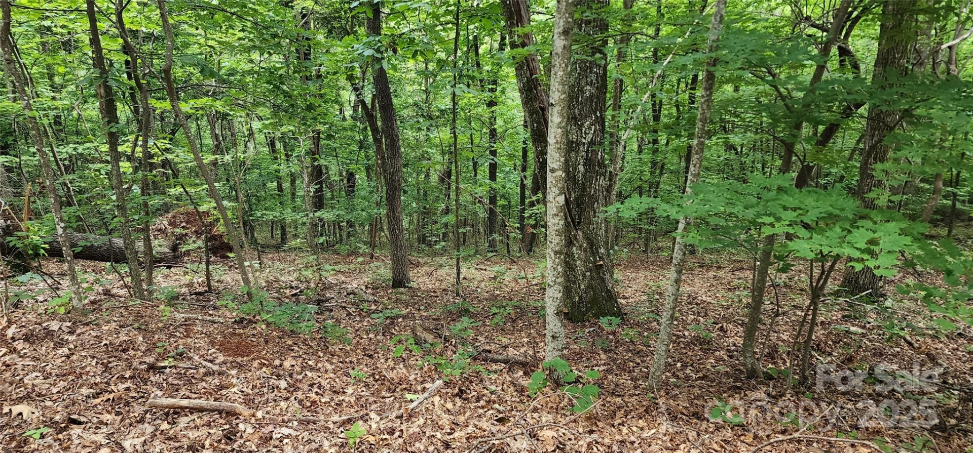 5 LOTS White Oak Mountain Road - Photo 21