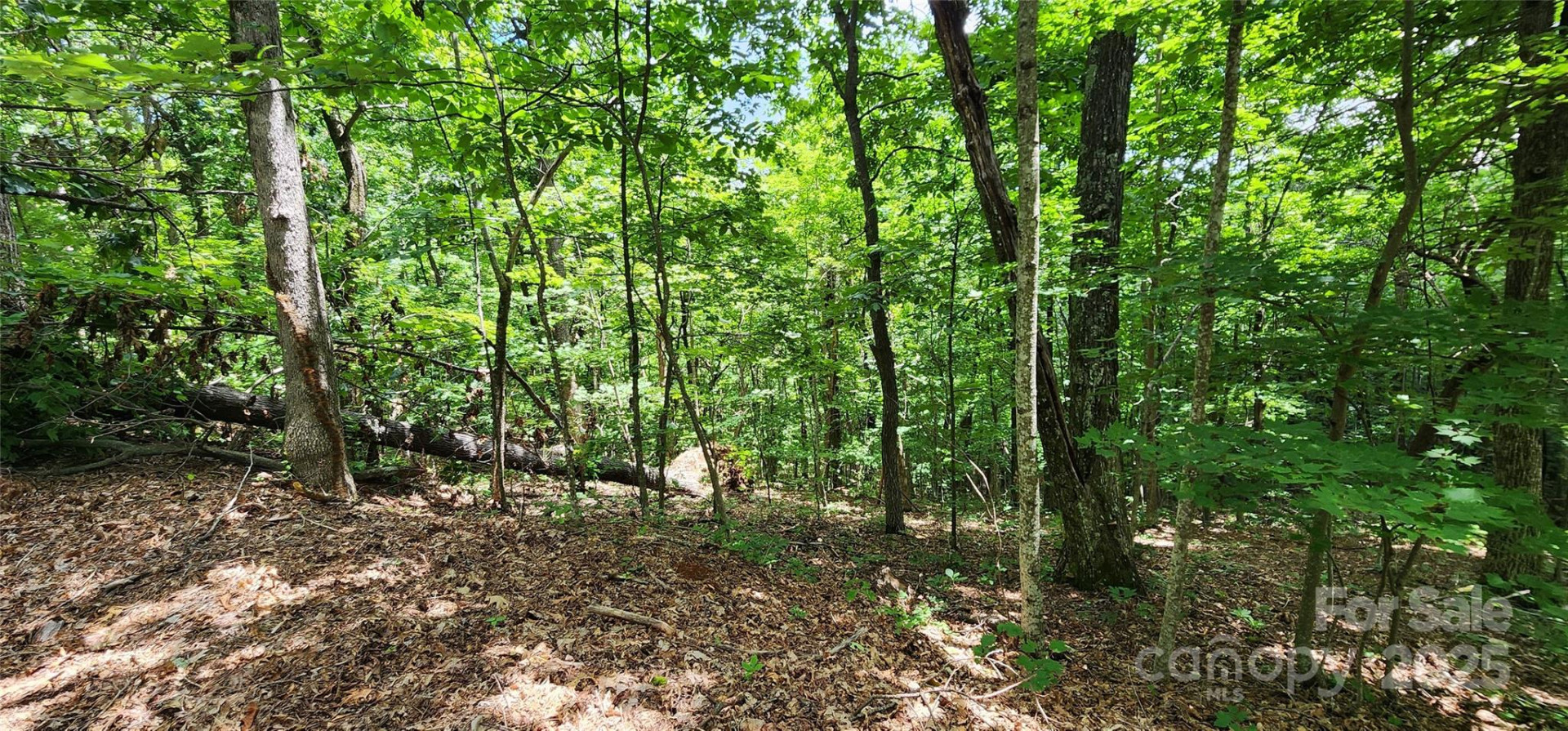5 LOTS White Oak Mountain Road - Photo 24