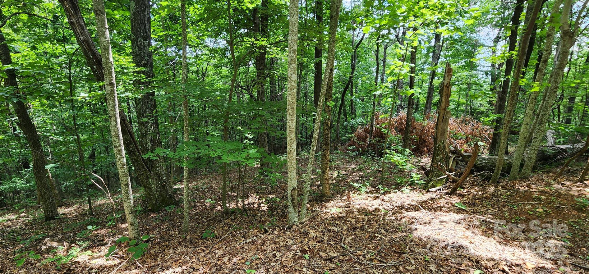 5 LOTS White Oak Mountain Road - Photo 26