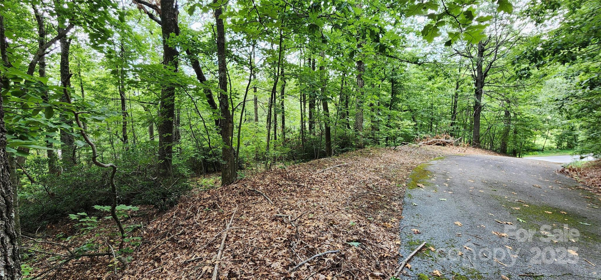 5 LOTS White Oak Mountain Road - Photo 27