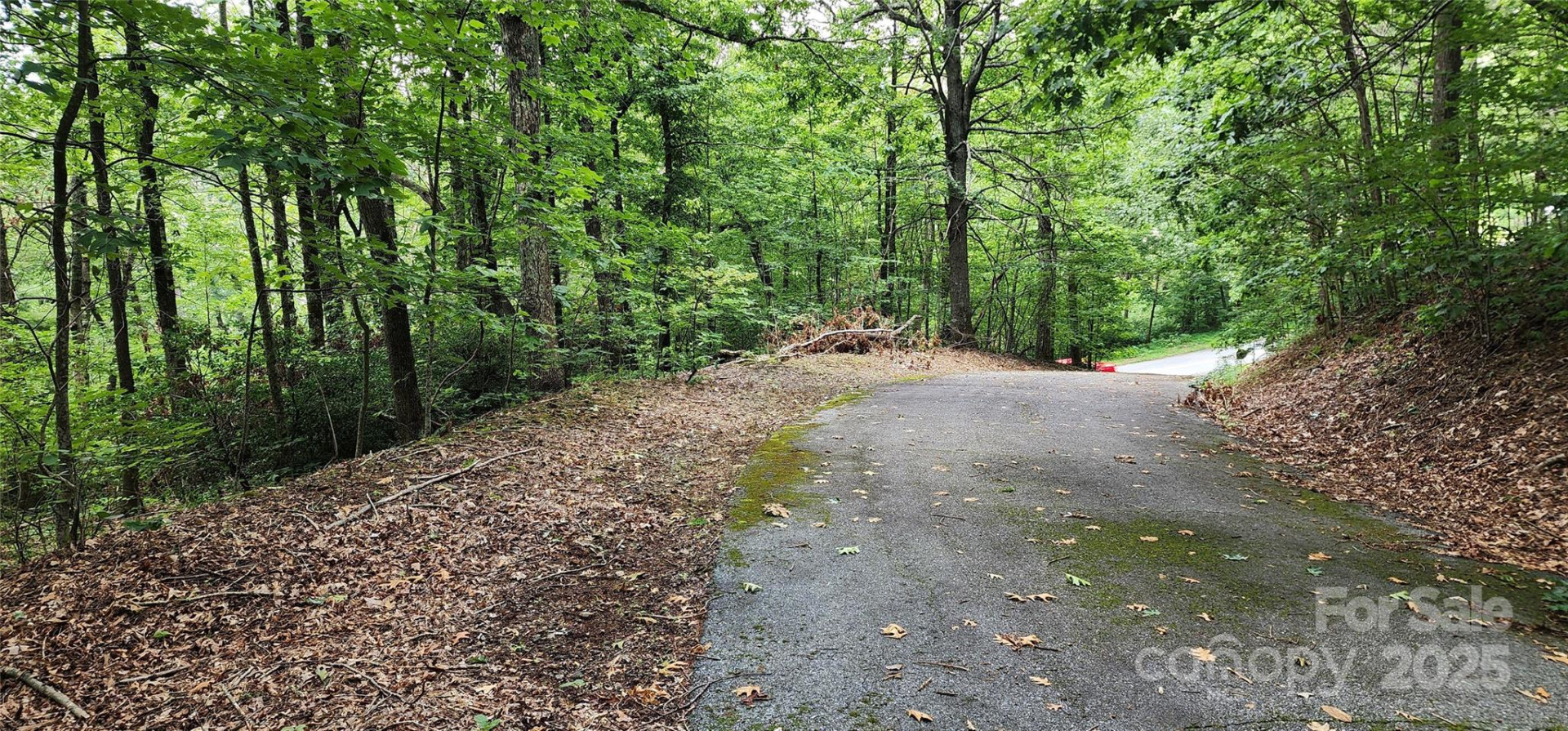 5 LOTS White Oak Mountain Road - Photo 29