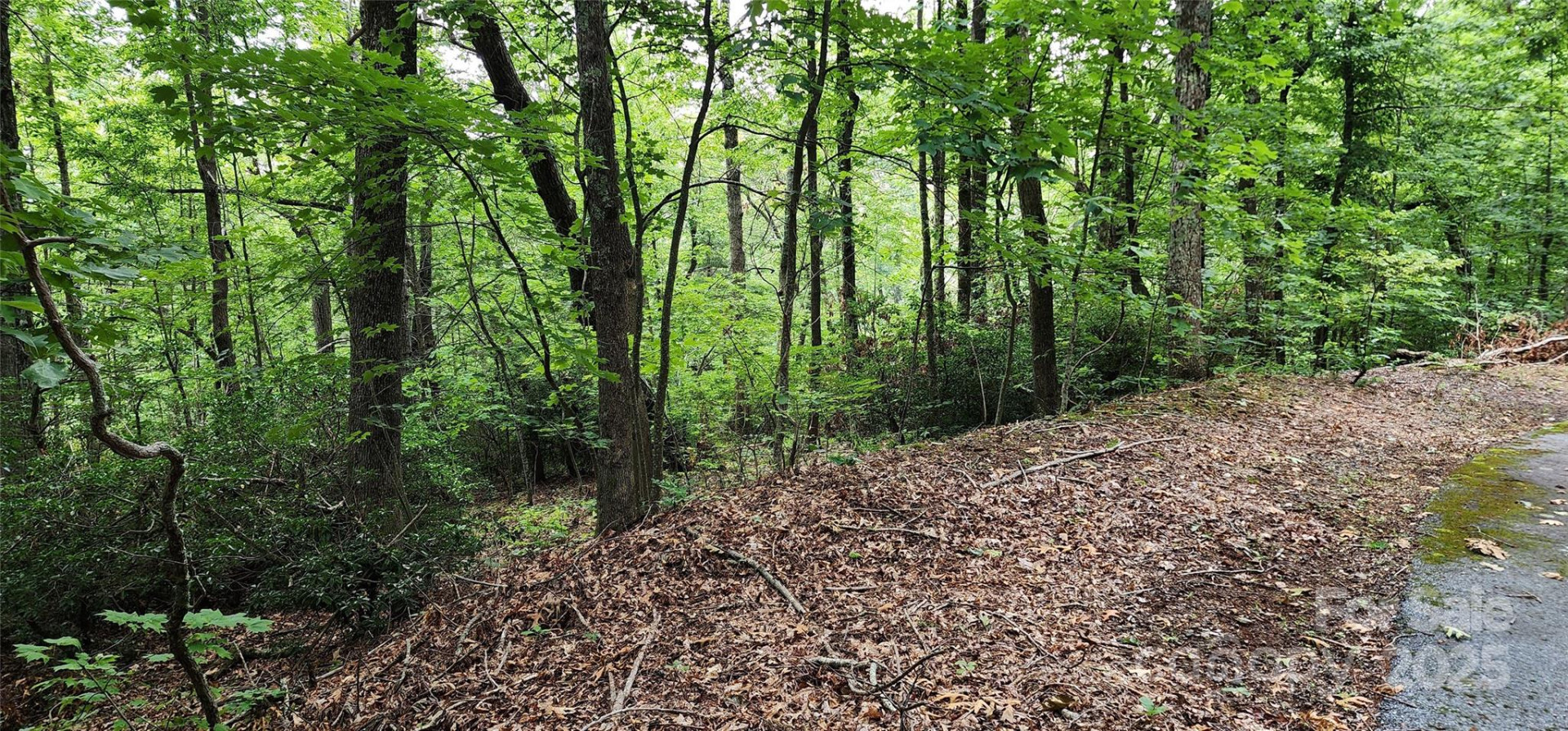 5 LOTS White Oak Mountain Road - Photo 30