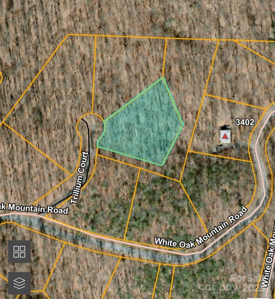 5 LOTS White Oak Mountain Road - Photo 4