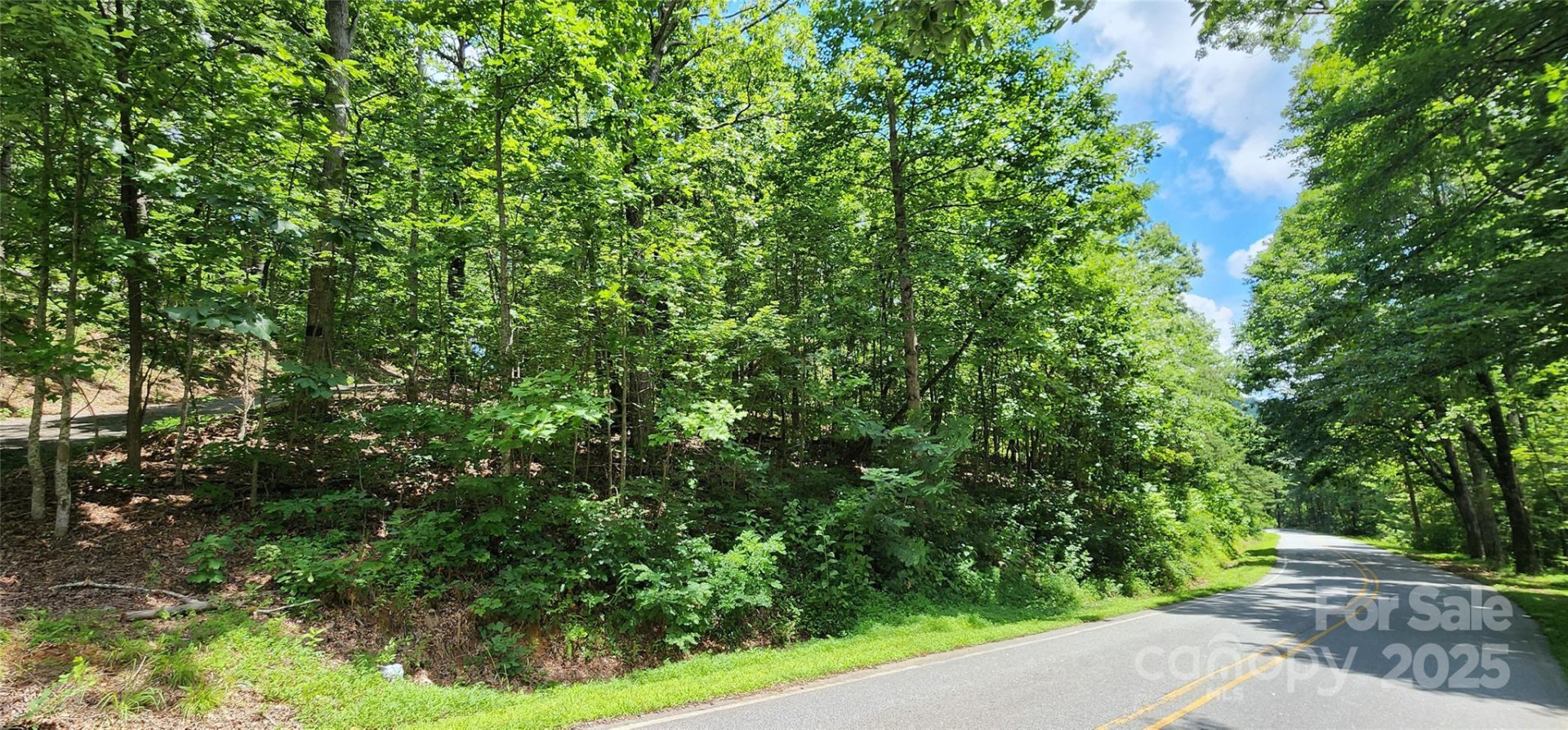 5 LOTS White Oak Mountain Road - Photo 10