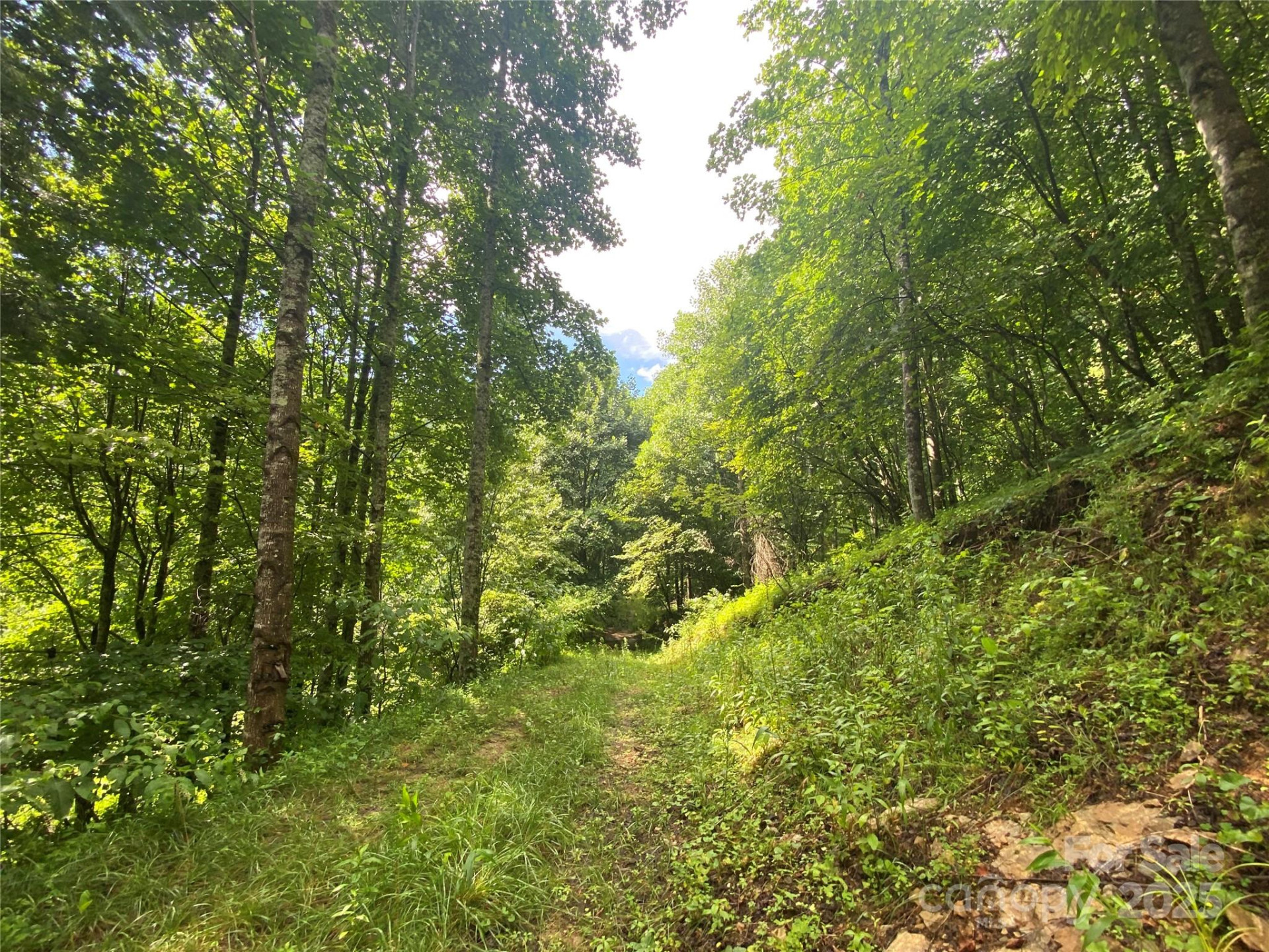 99999 Foster Creek Road - Photo 2