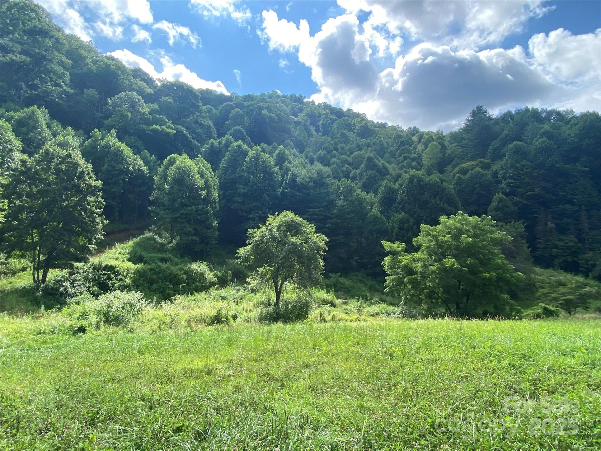 99999 Foster Creek Road - Photo 11