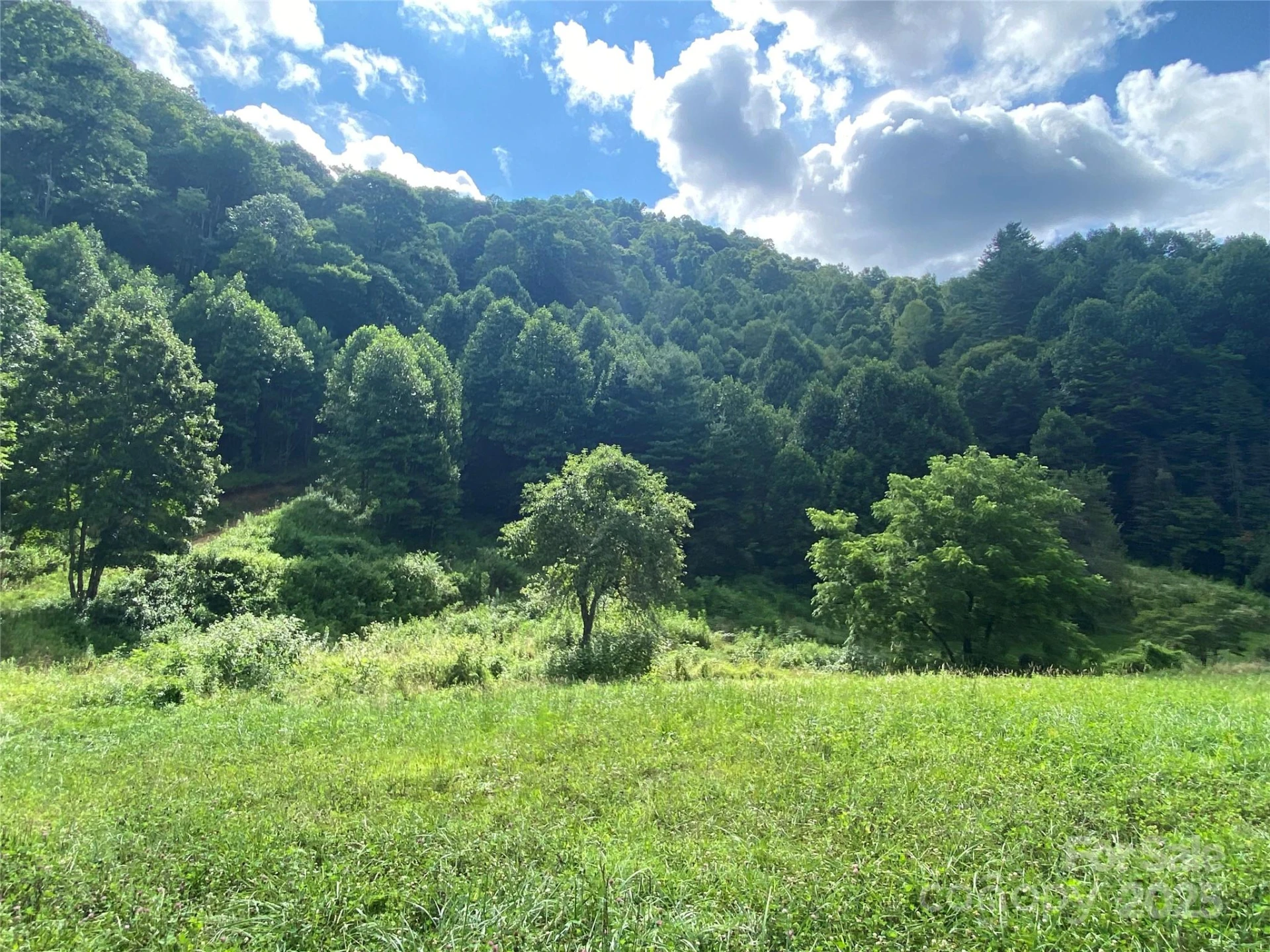 99999 Foster Creek Road - Photo 11