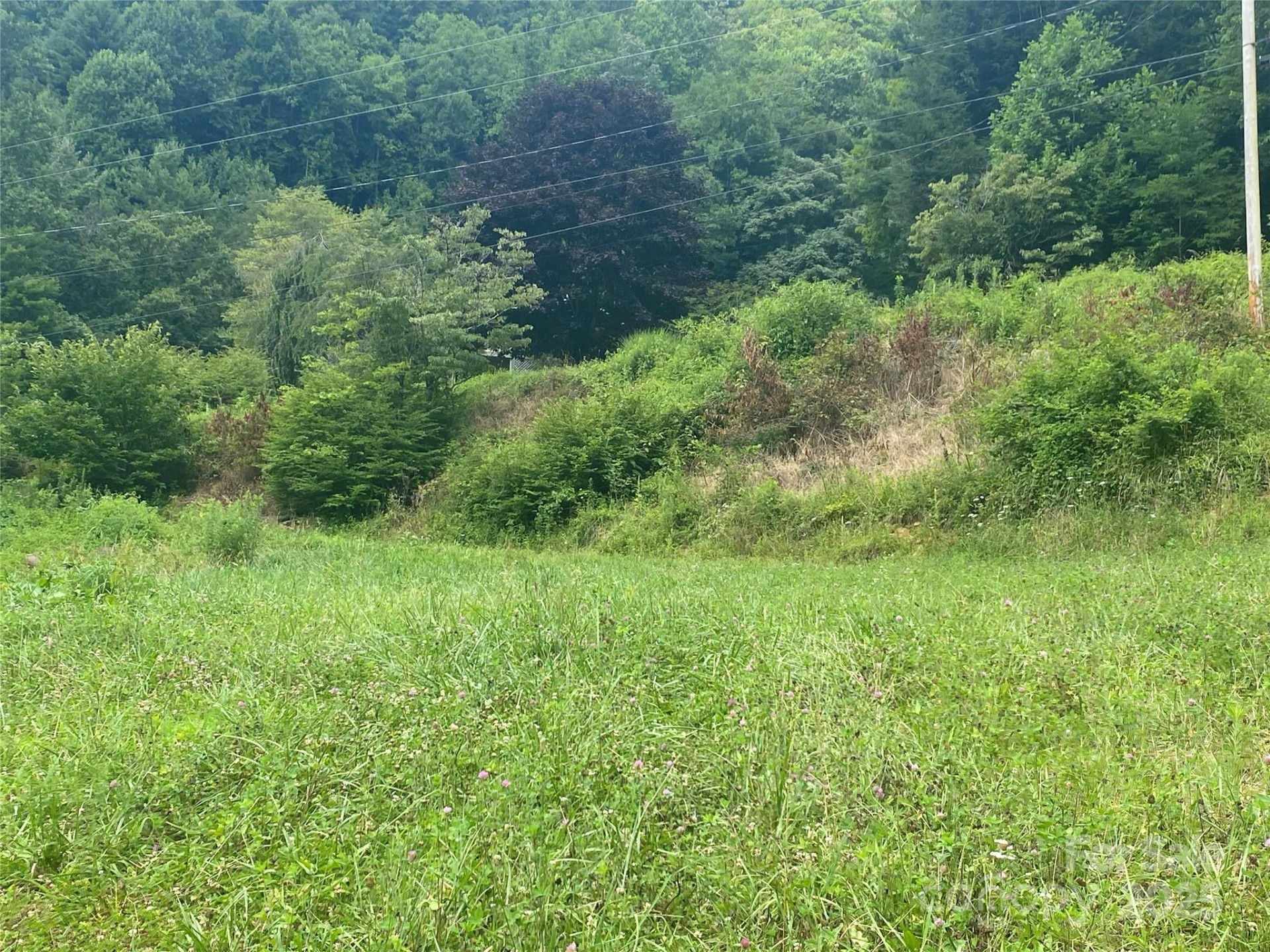 99999 Foster Creek Road - Photo 14