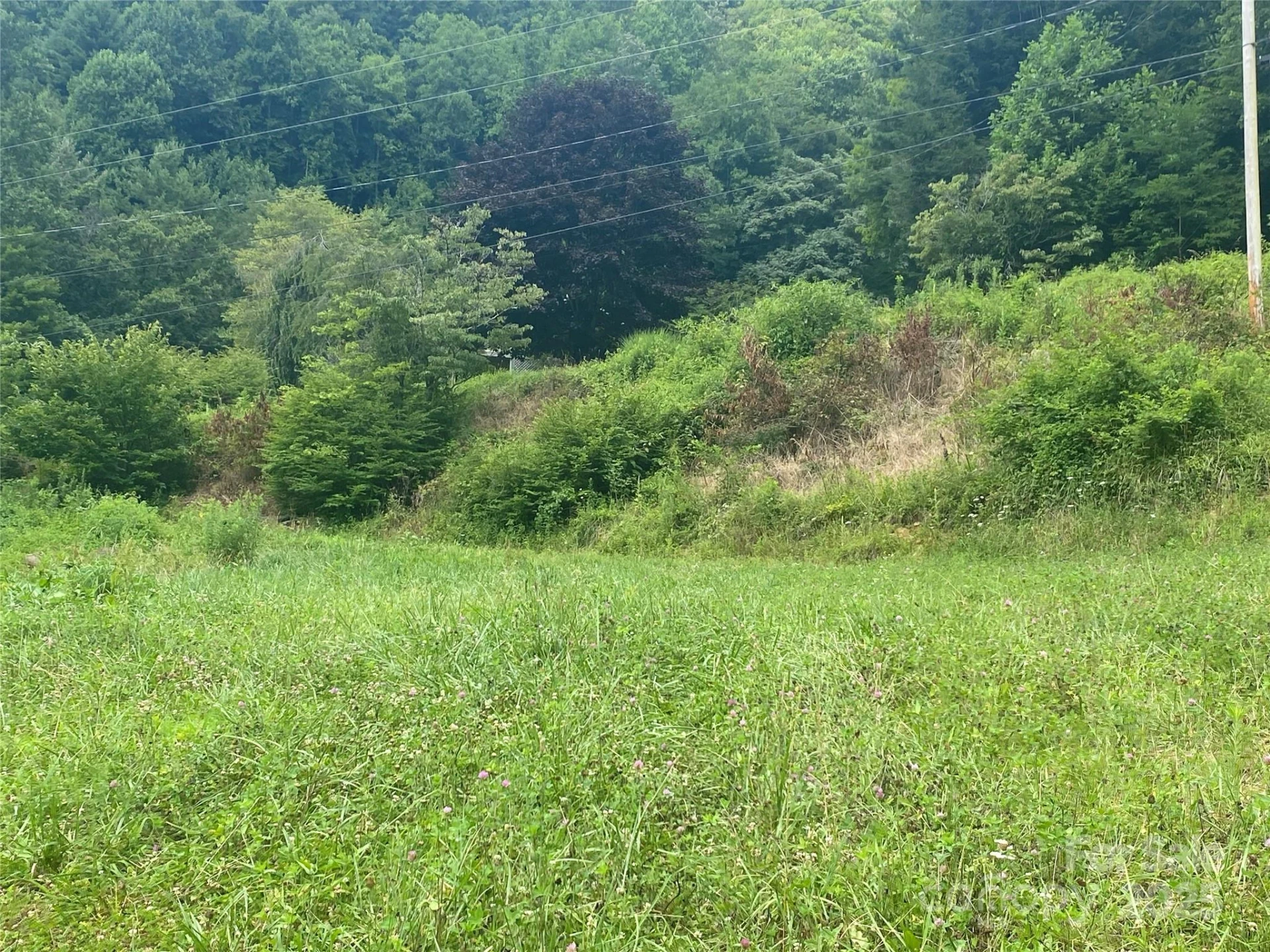 99999 Foster Creek Road - Photo 14