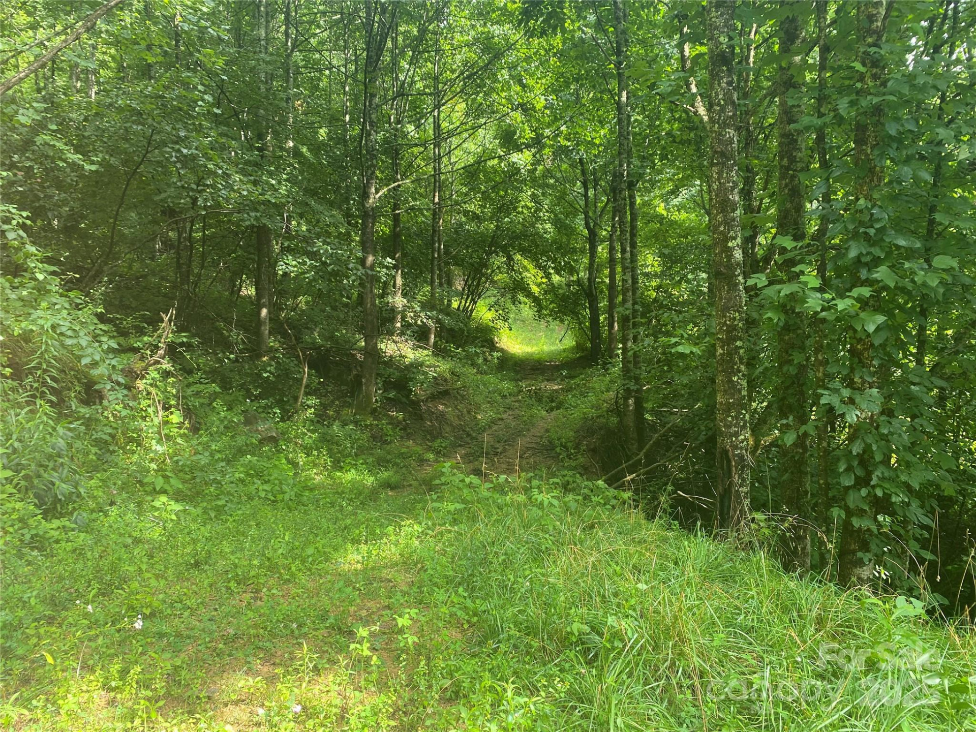 99999 Foster Creek Road - Photo 15