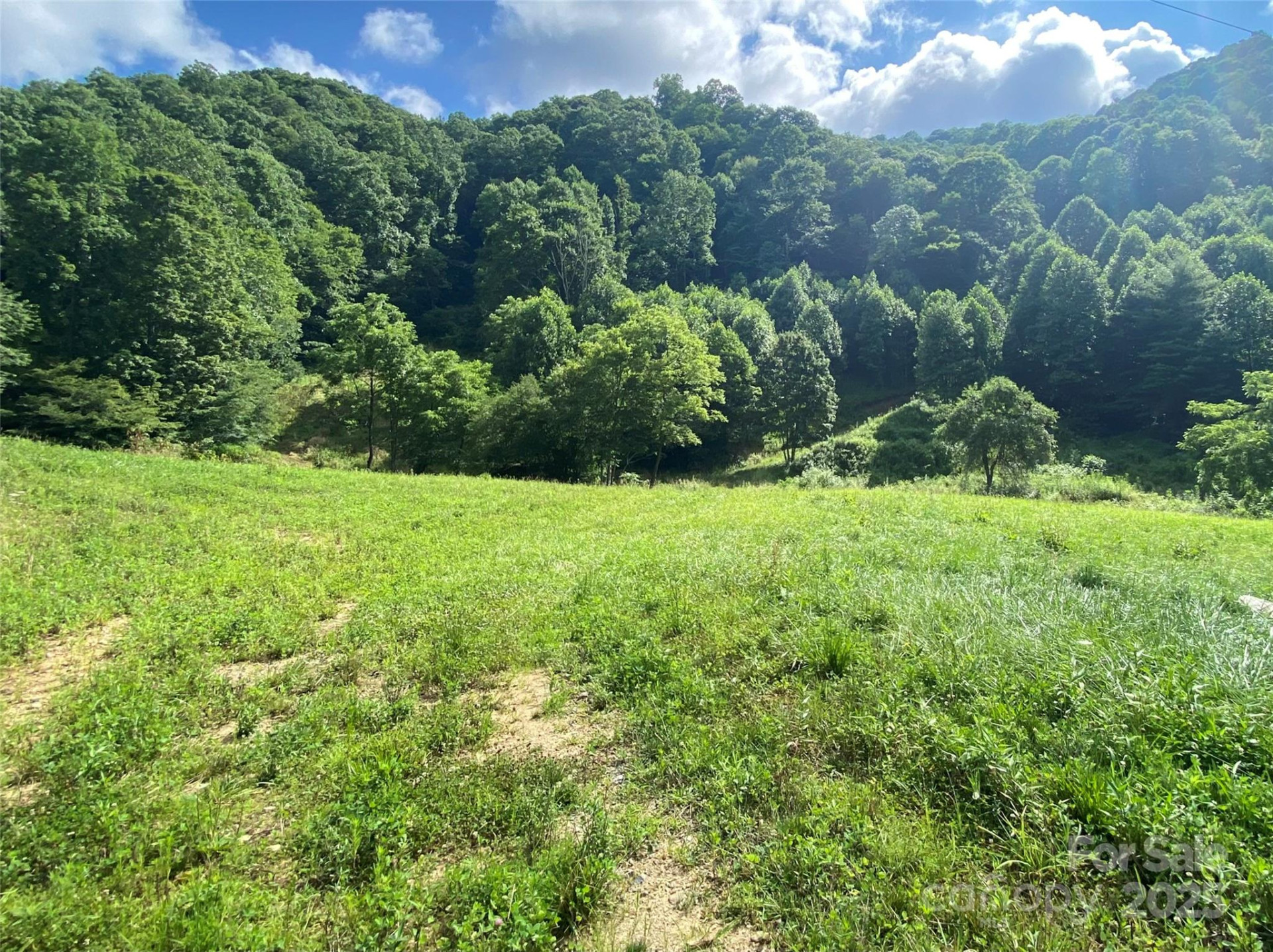 99999 Foster Creek Road - Photo 4