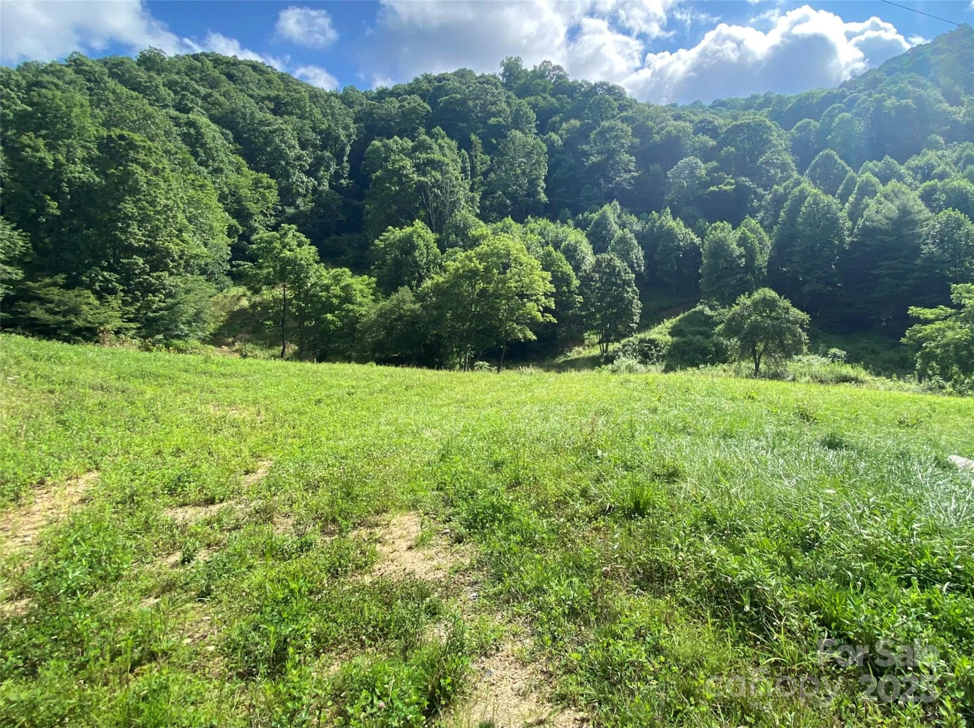 99999 Foster Creek Road - Photo 4