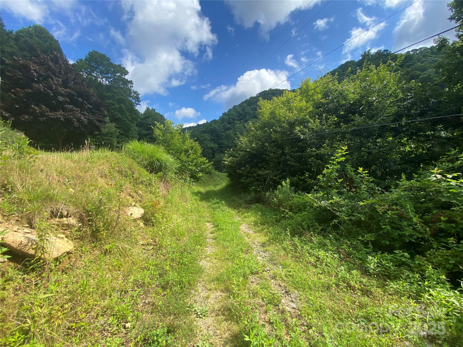 99999 Foster Creek Road - Photo 5