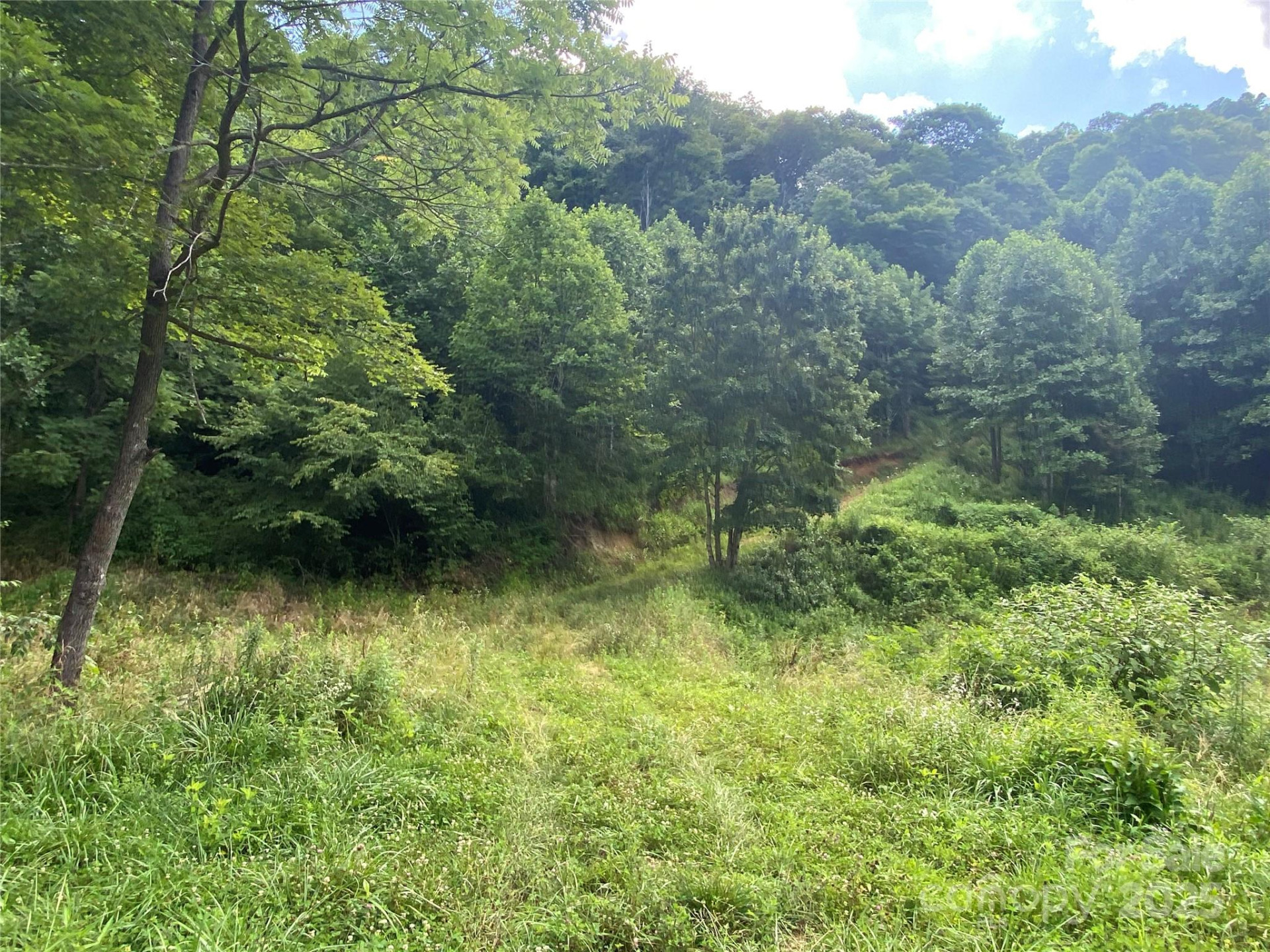 99999 Foster Creek Road - Photo 6