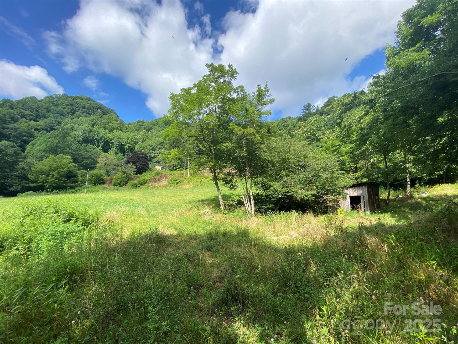 99999 Foster Creek Road - Photo 7