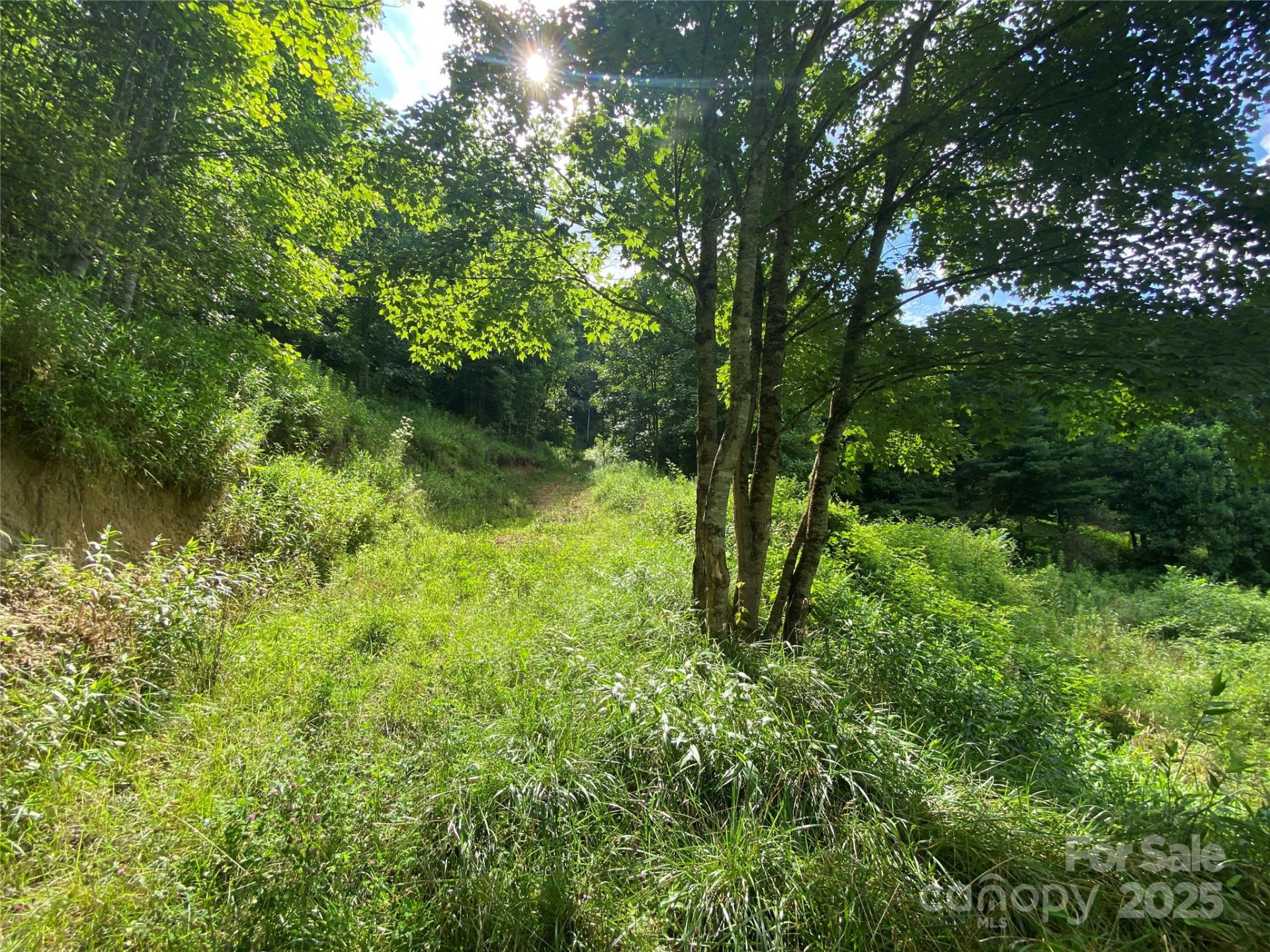 99999 Foster Creek Road - Photo 8