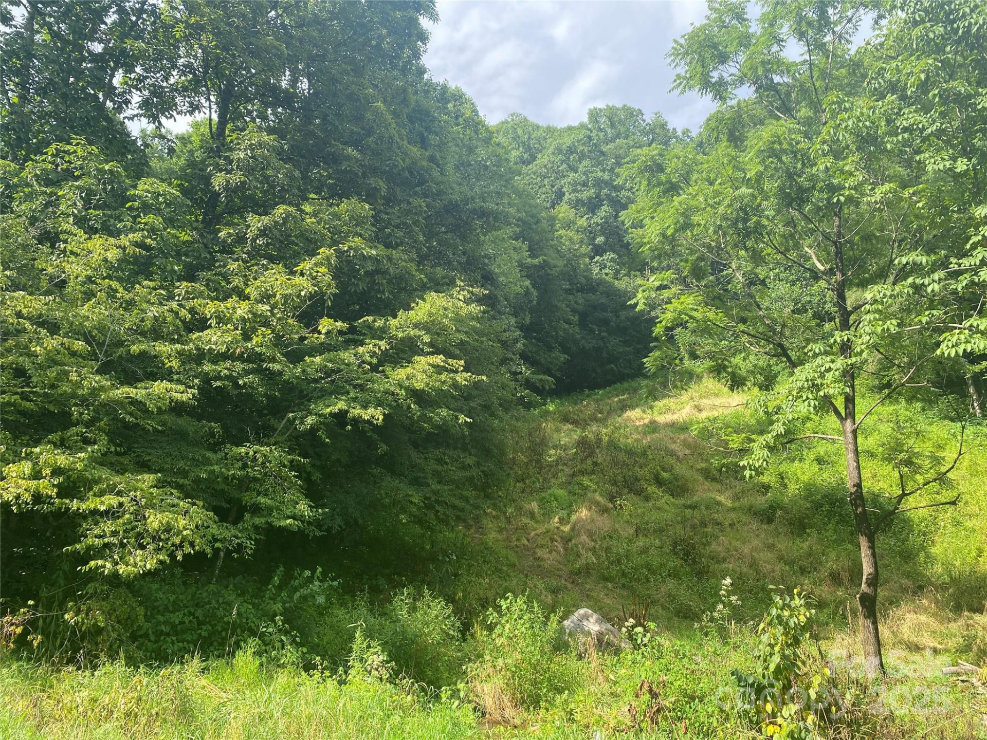 99999 Foster Creek Road - Photo 9