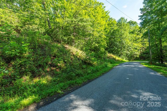 TBD McKenzie Way, Old Fort, NC, 28762