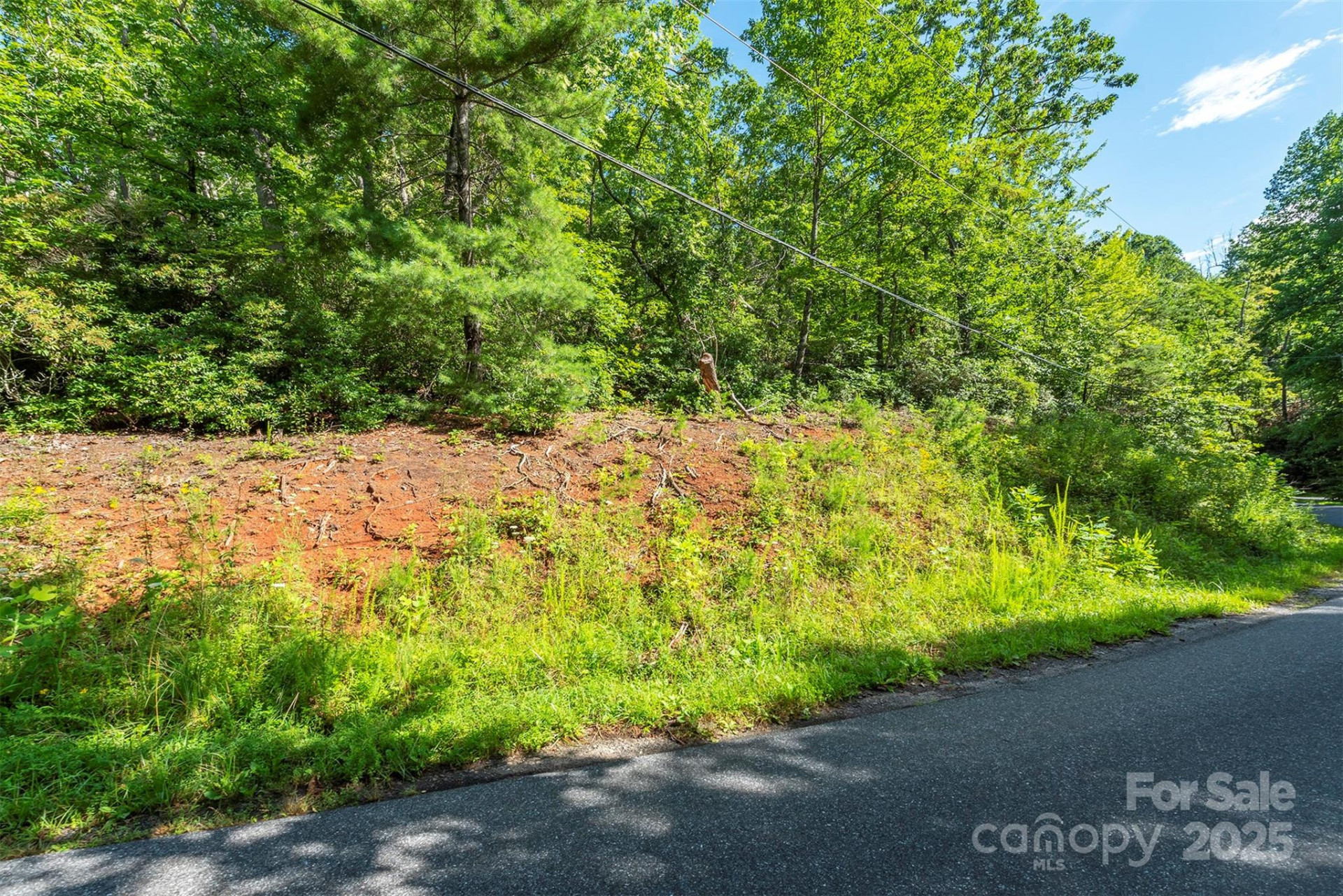 TBD McKenzie Way - Photo 2