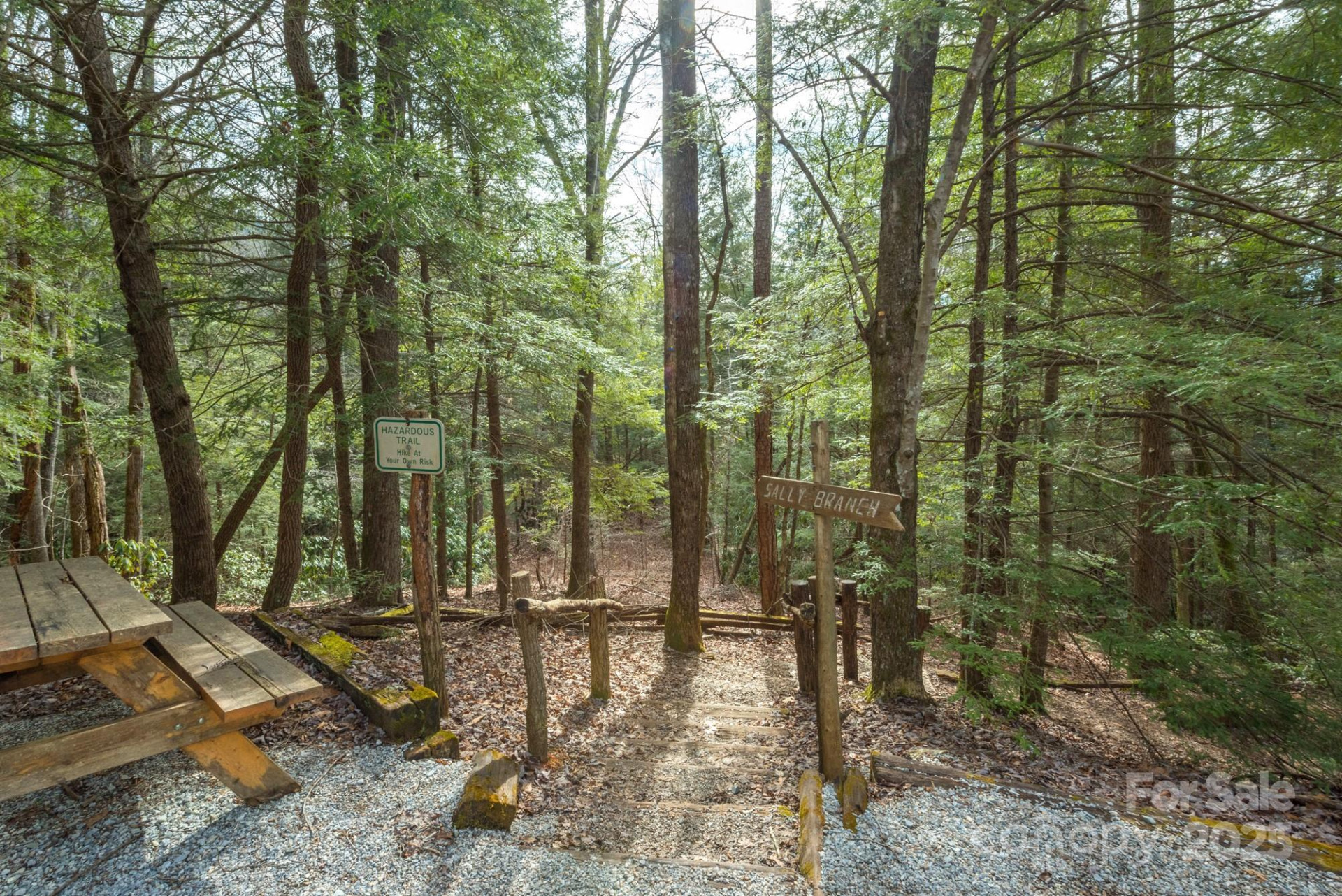 TBD McKenzie Way - Photo 14