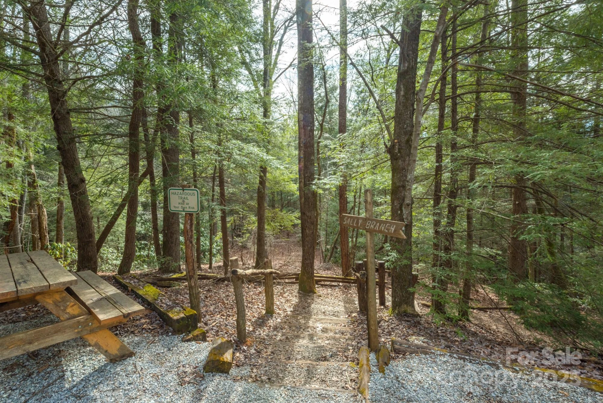 TBD McKenzie Way - Photo 14