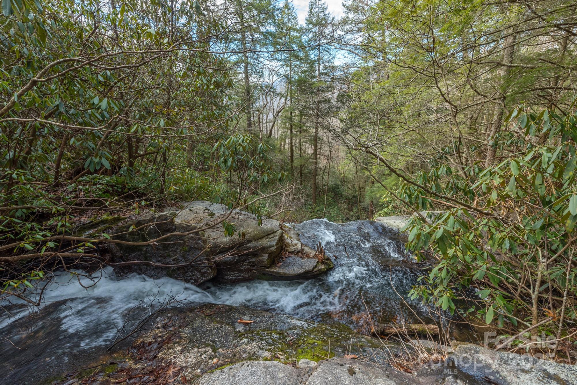 TBD McKenzie Way - Photo 15