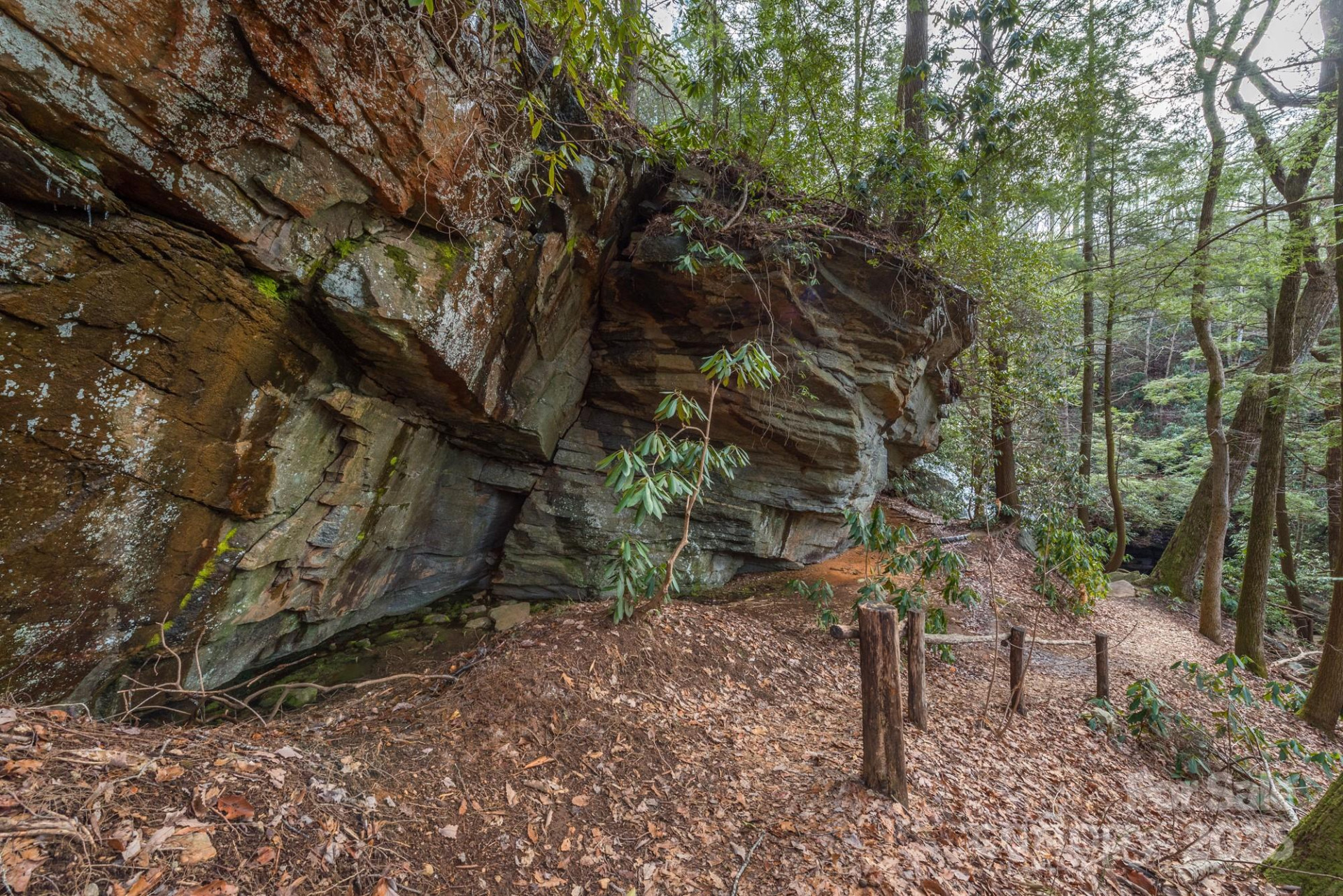 TBD McKenzie Way - Photo 16