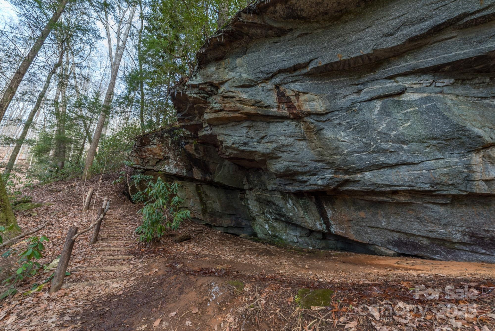 TBD McKenzie Way - Photo 17