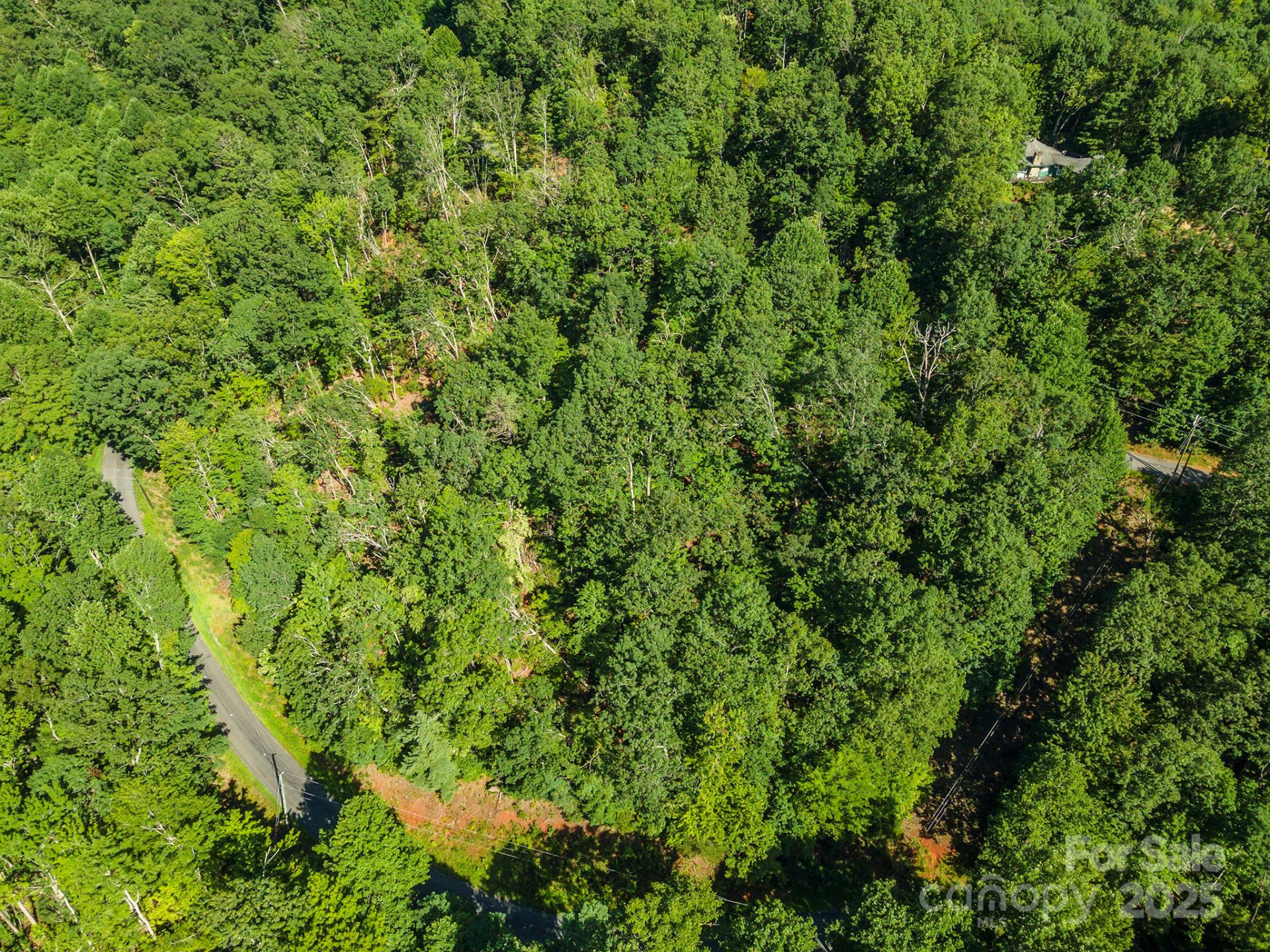 TBD McKenzie Way - Photo 26