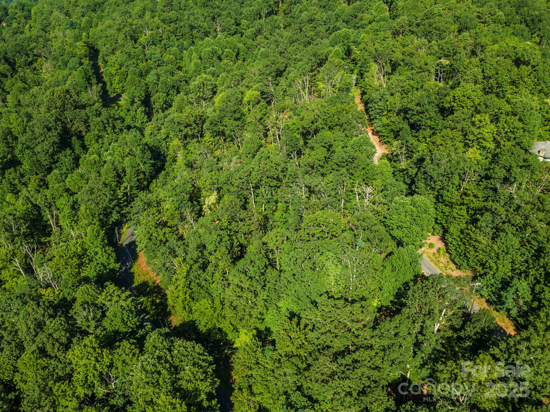 TBD McKenzie Way - Photo 30