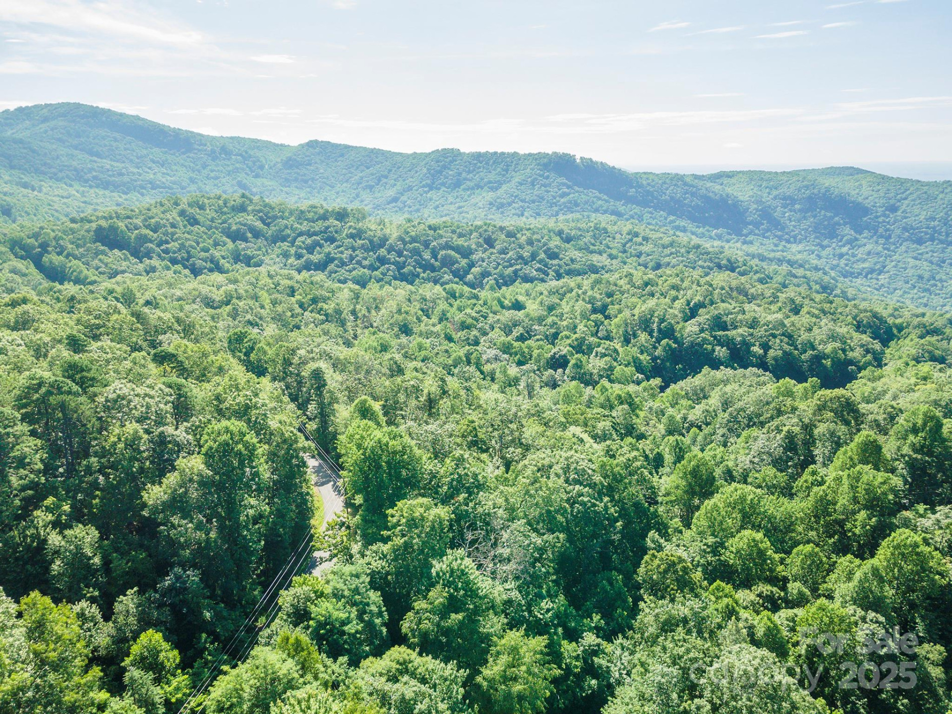 TBD McKenzie Way - Photo 4