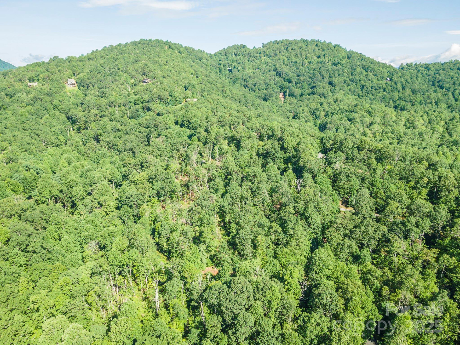 TBD McKenzie Way - Photo 32