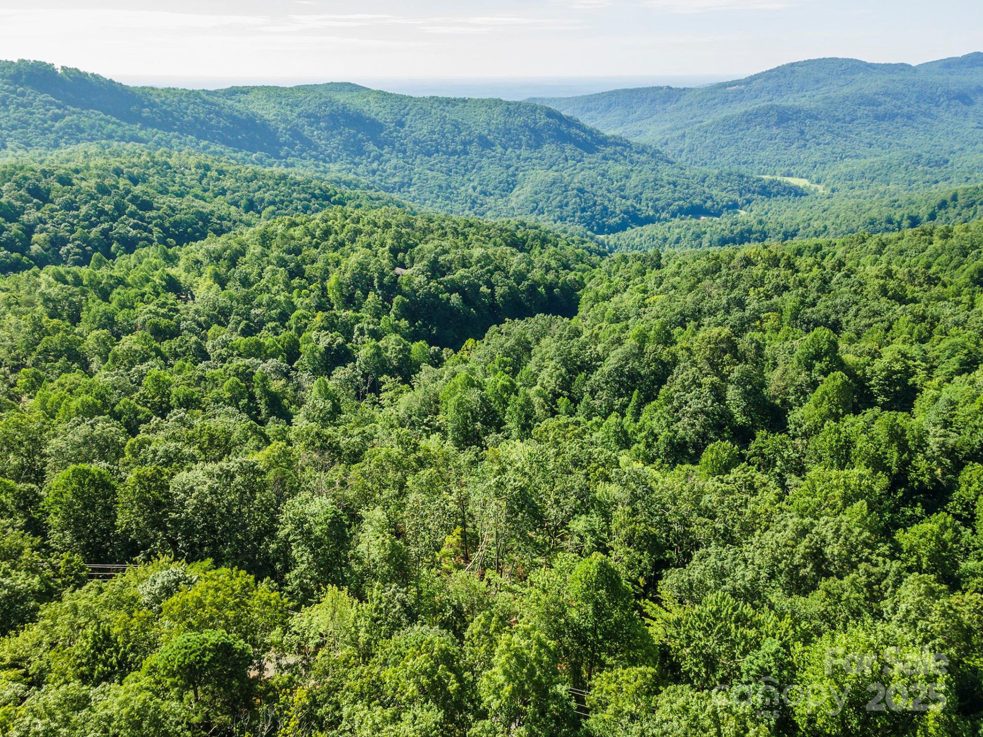 TBD McKenzie Way - Photo 33