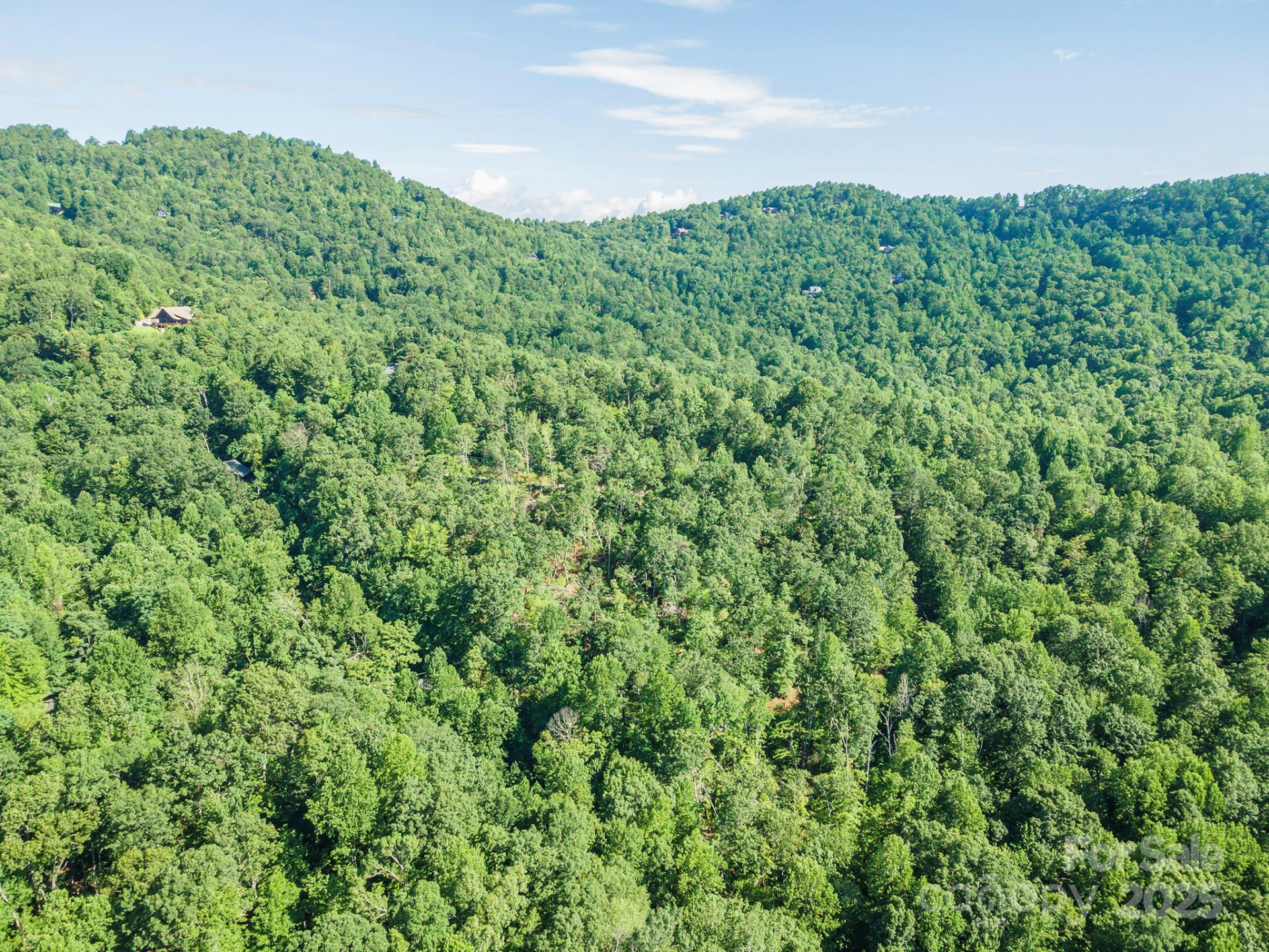 TBD McKenzie Way - Photo 35