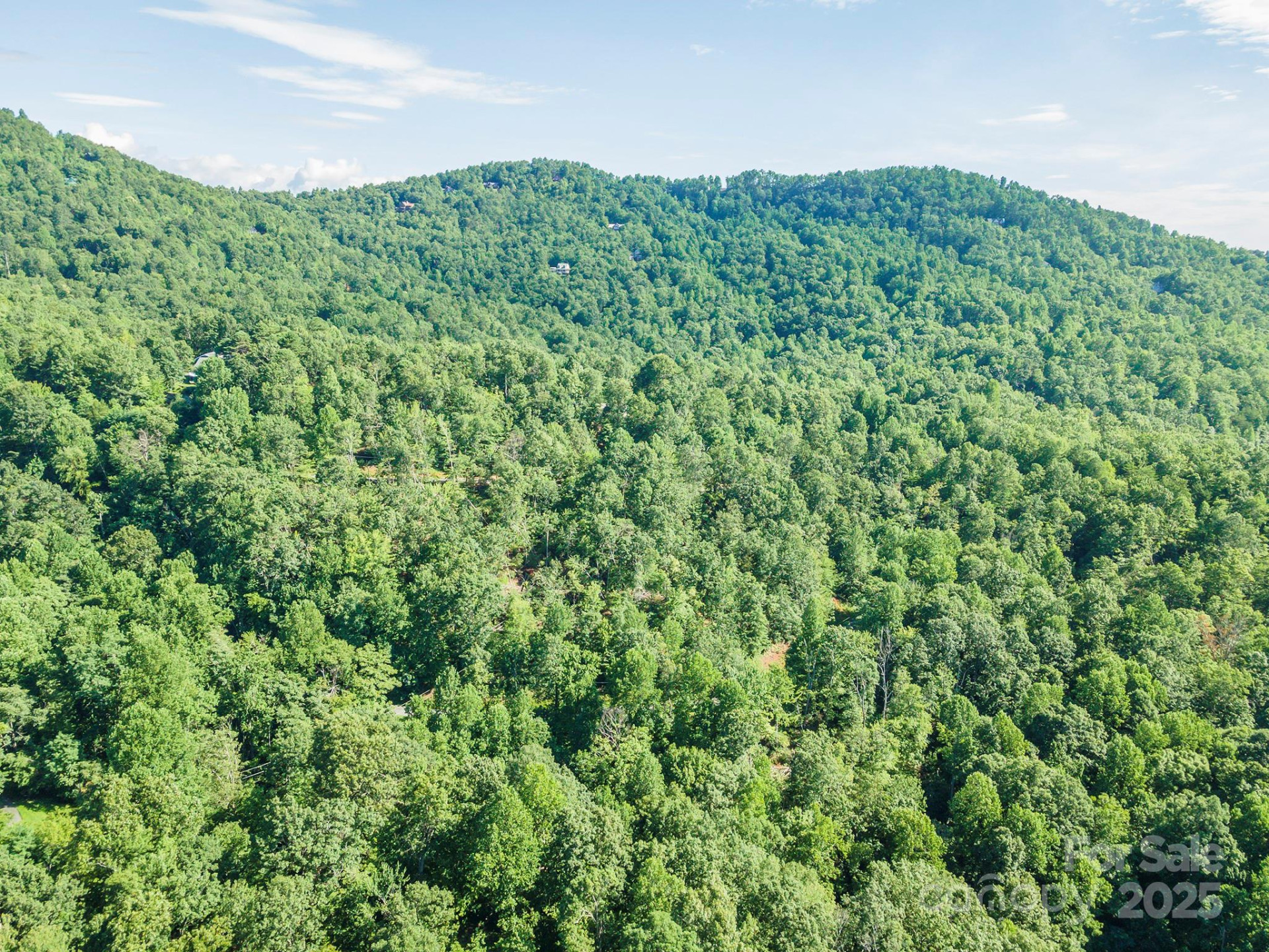 TBD McKenzie Way - Photo 36