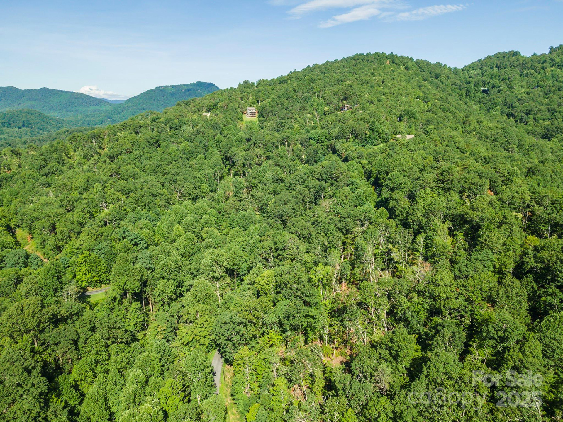 TBD McKenzie Way - Photo 37