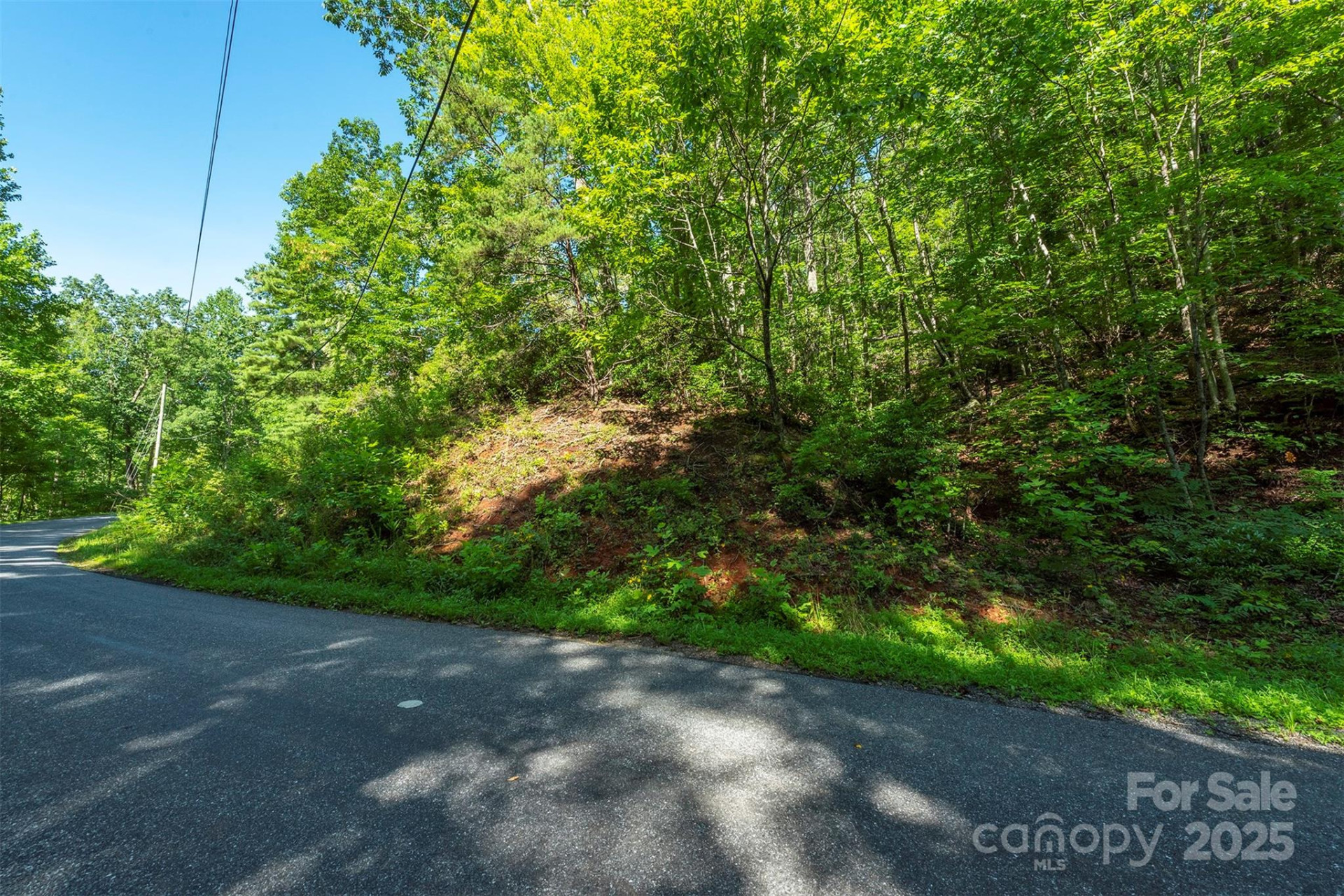 TBD McKenzie Way - Photo 38