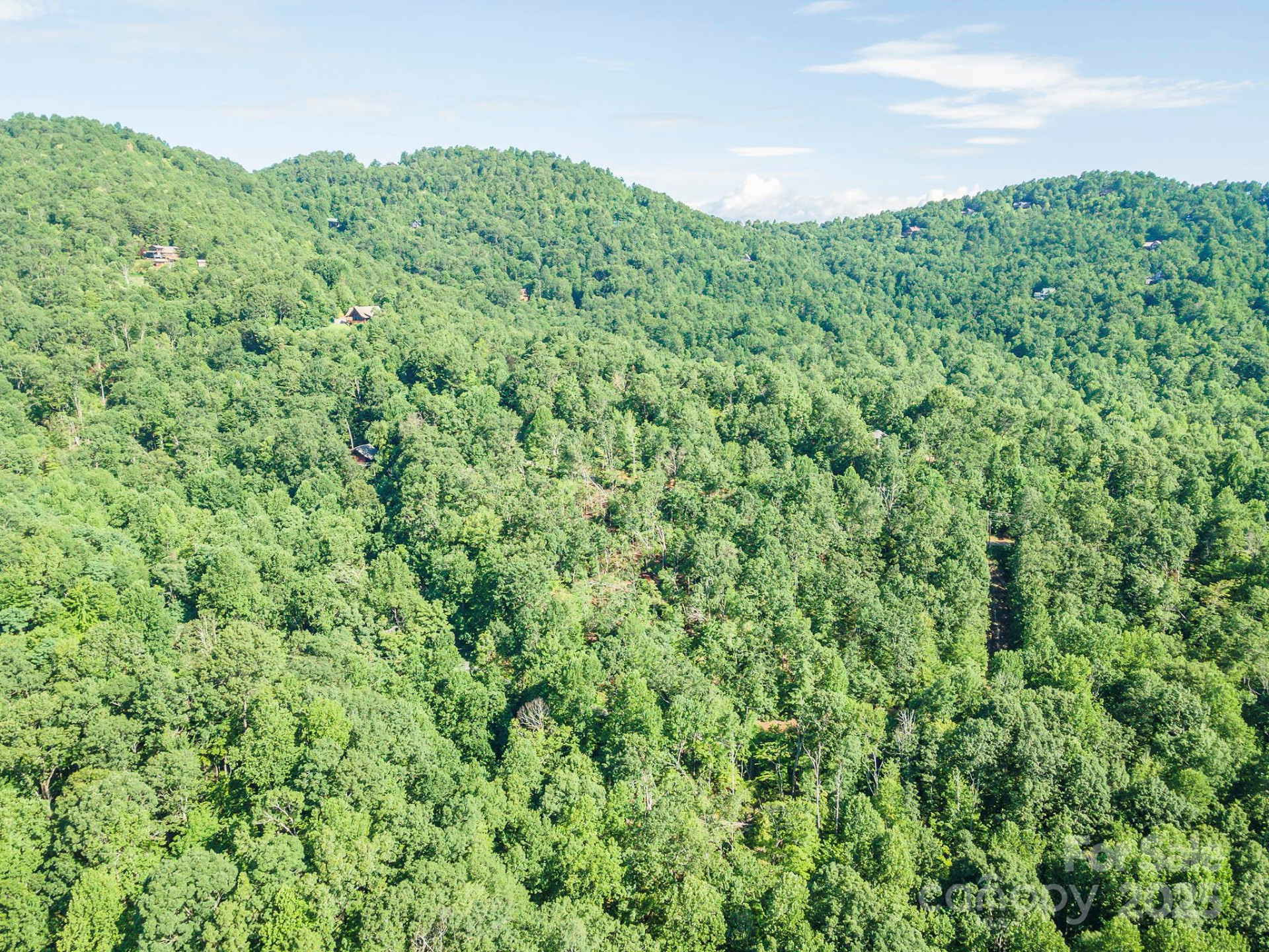 TBD McKenzie Way - Photo 40